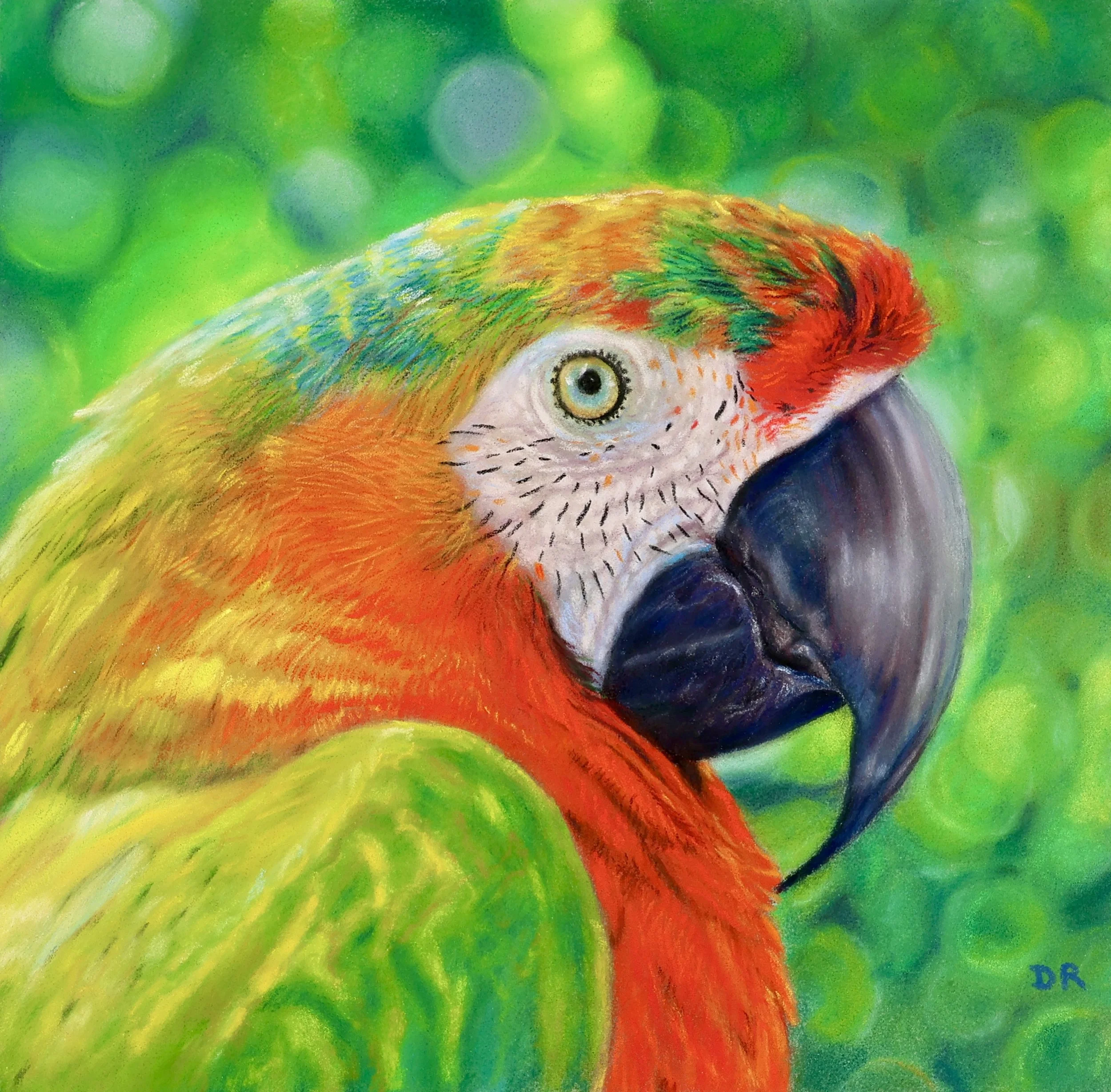 Colorful Parrot - 18 x 18 cm