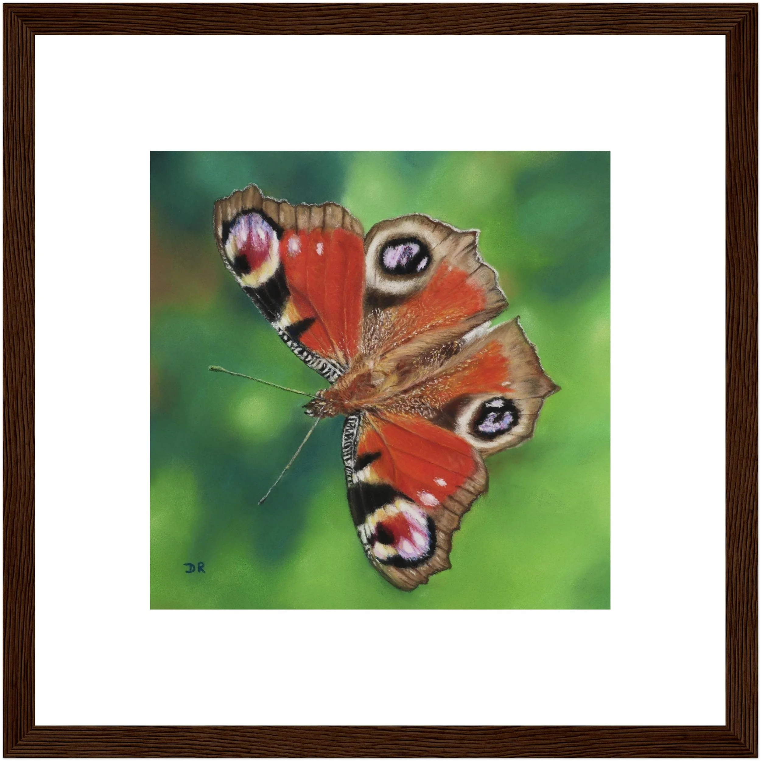 Peacock Butterfly / Le Mareynat - Fine Art Framed Poster