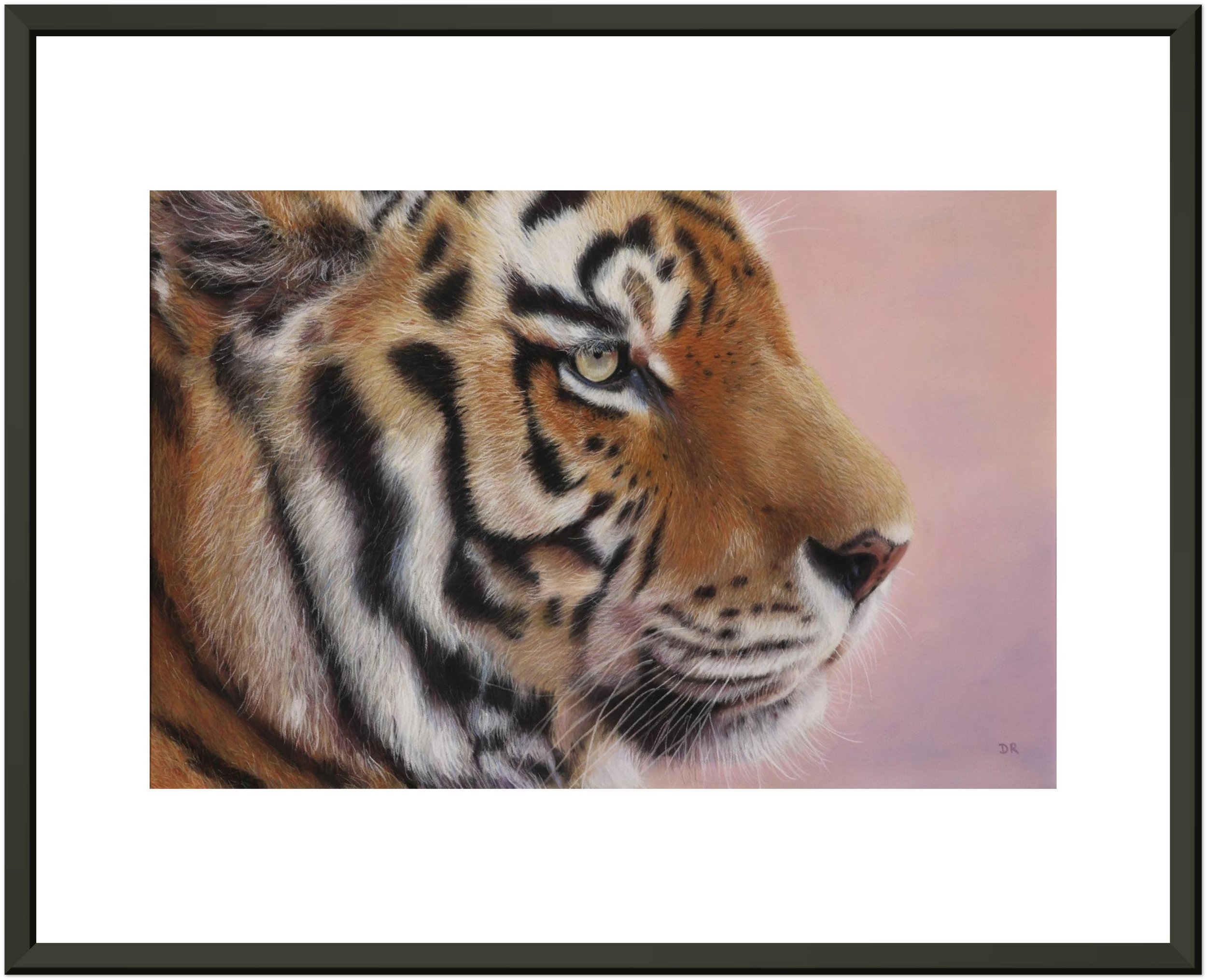 Quiet Tiger - Fine Art Framed Poster