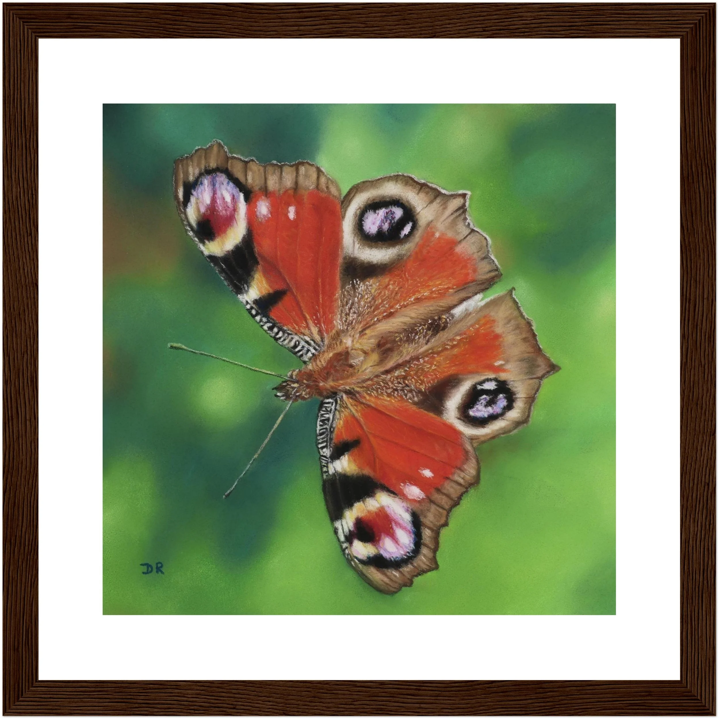 Peacock Butterfly / Le Mareynat - Fine Art Framed Poster