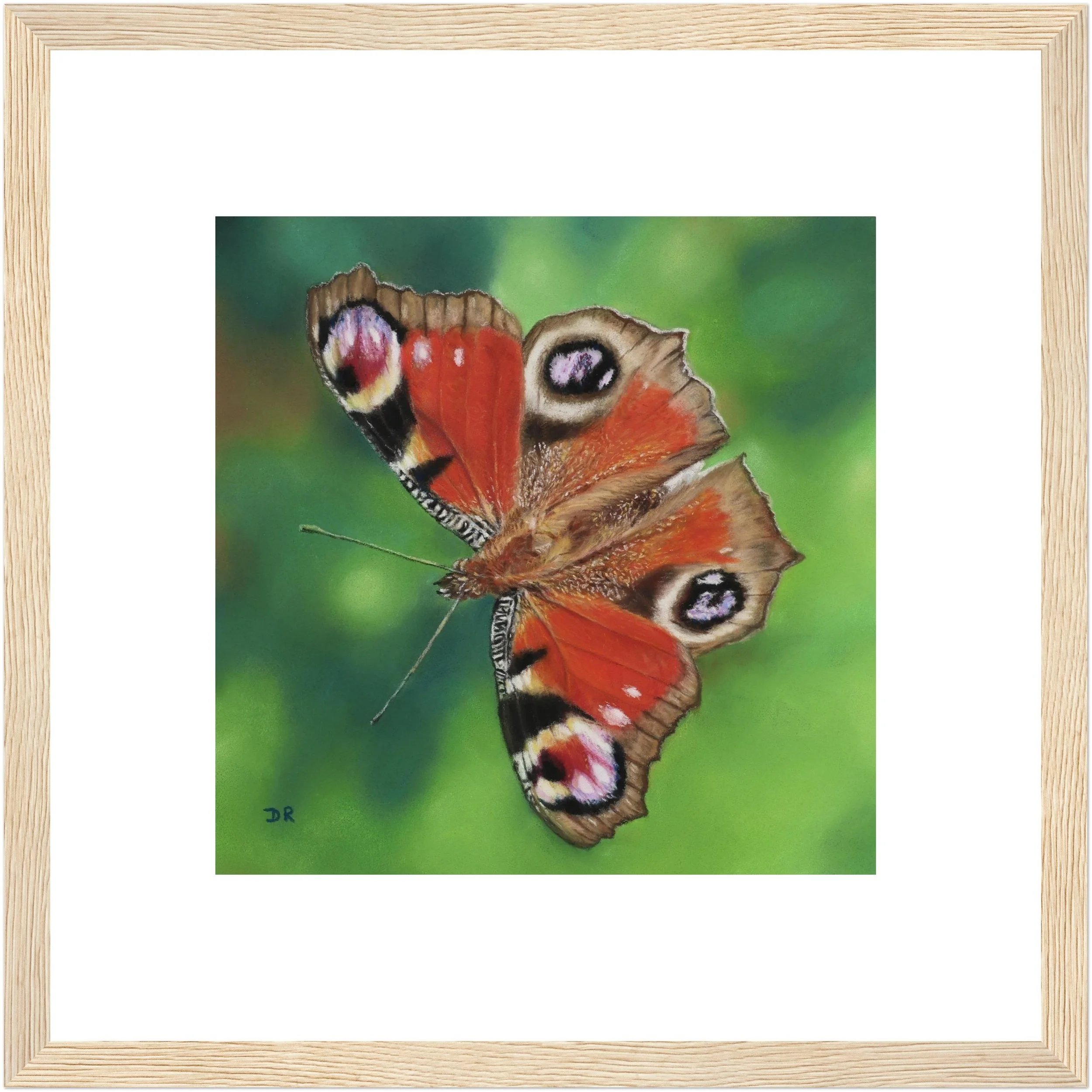 Peacock Butterfly / Le Mareynat - Fine Art Framed Poster