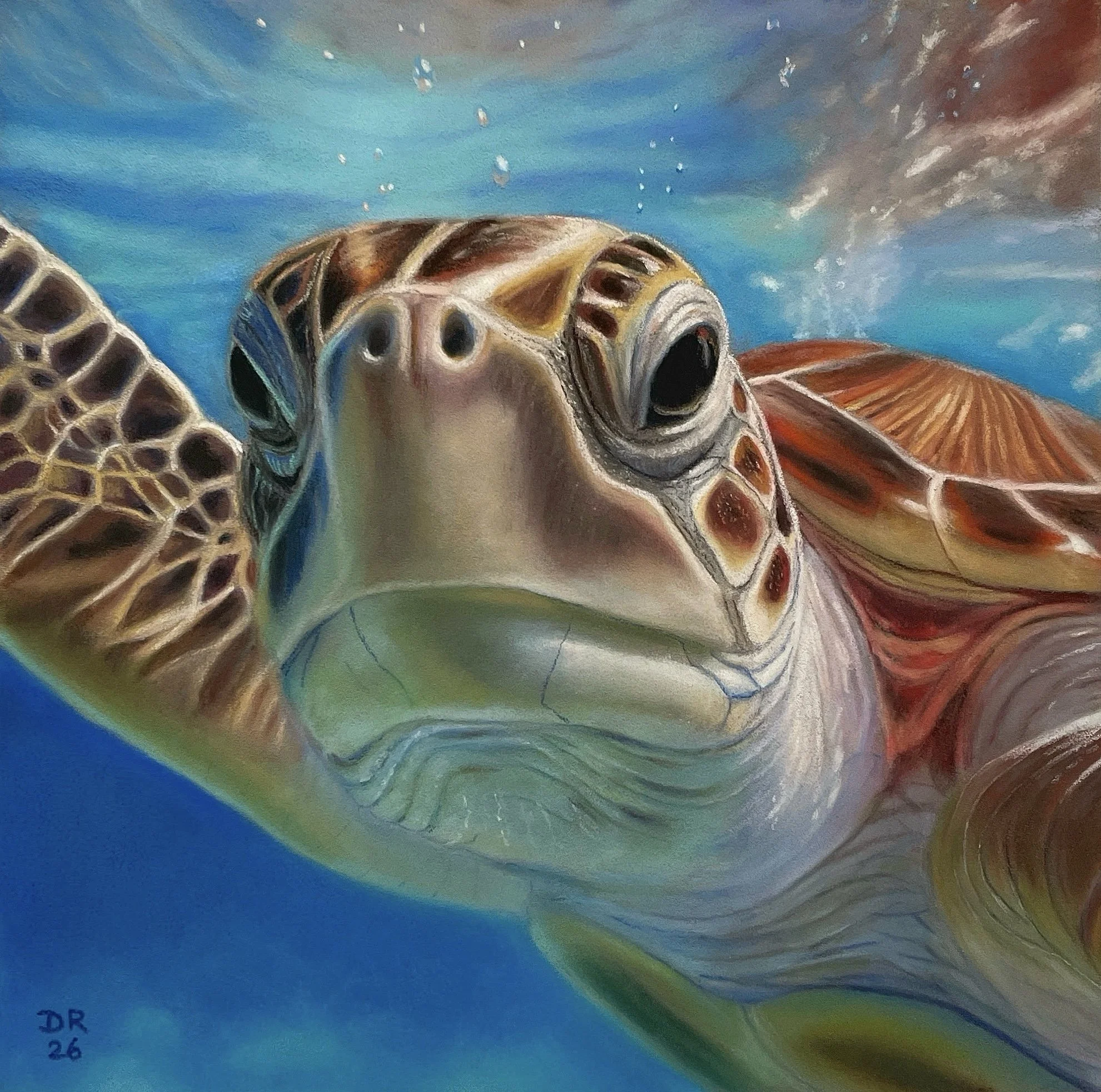 Soft pastel painting close-up of a sea turtle swimming underwater in bright blue sunlight-dappled water