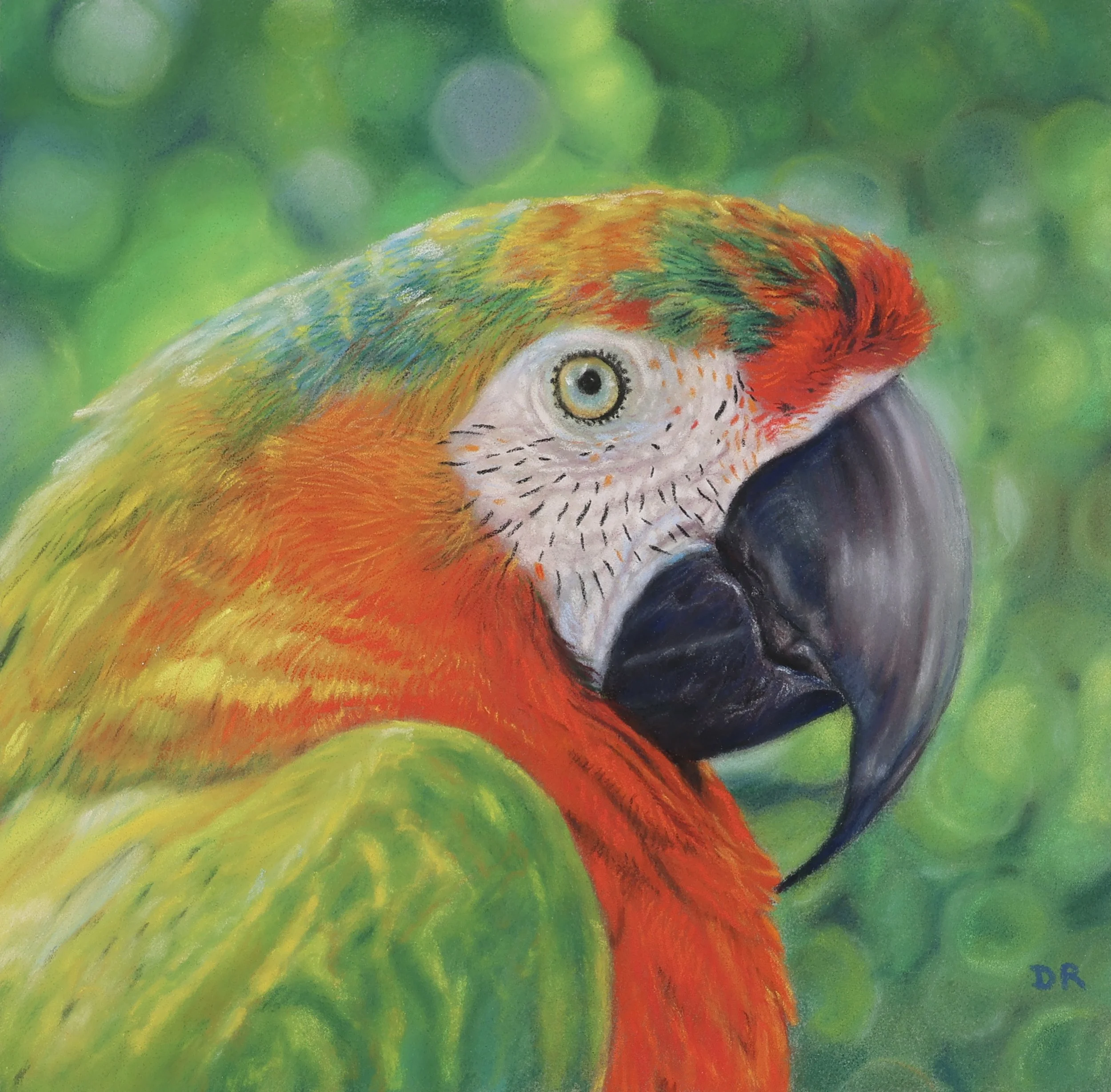 Soft pastel painting of a colorful parrot’s head with vibrant green, orange, red and yellow feathers, set against a blurred green bokeh background.