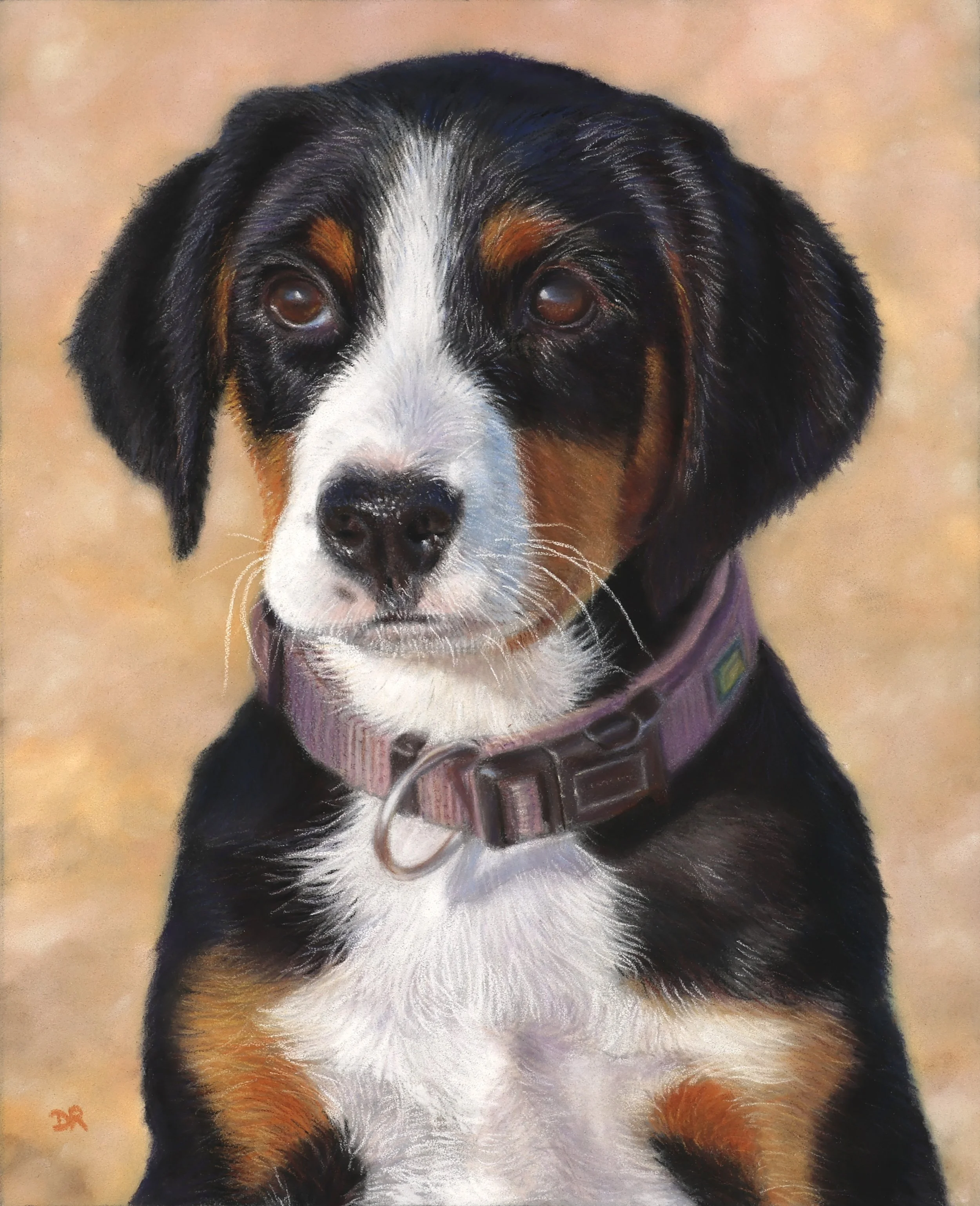 Domestic Animals