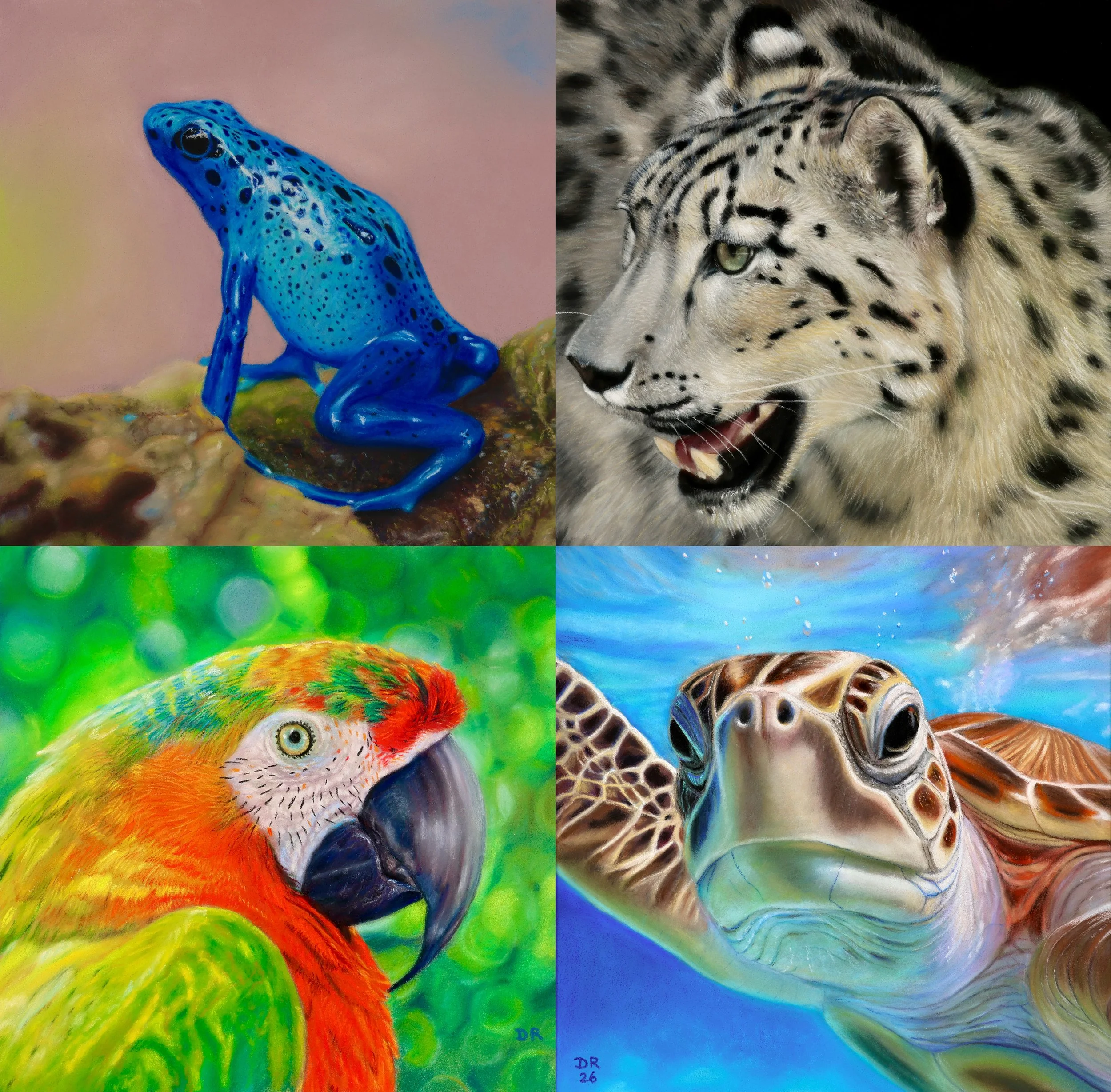 Four colorful animal paintings arranged in a collage. In the top left, a bright blue frog with black spots sitting on a log. In the top right, a snow leopard with yellow eyes and black spots on its fur. In the bottom left, a vivid green and orange parrot with a curved beak. In the bottom right, a detailed close-up of a butterfly with intricate patterns on its wings.