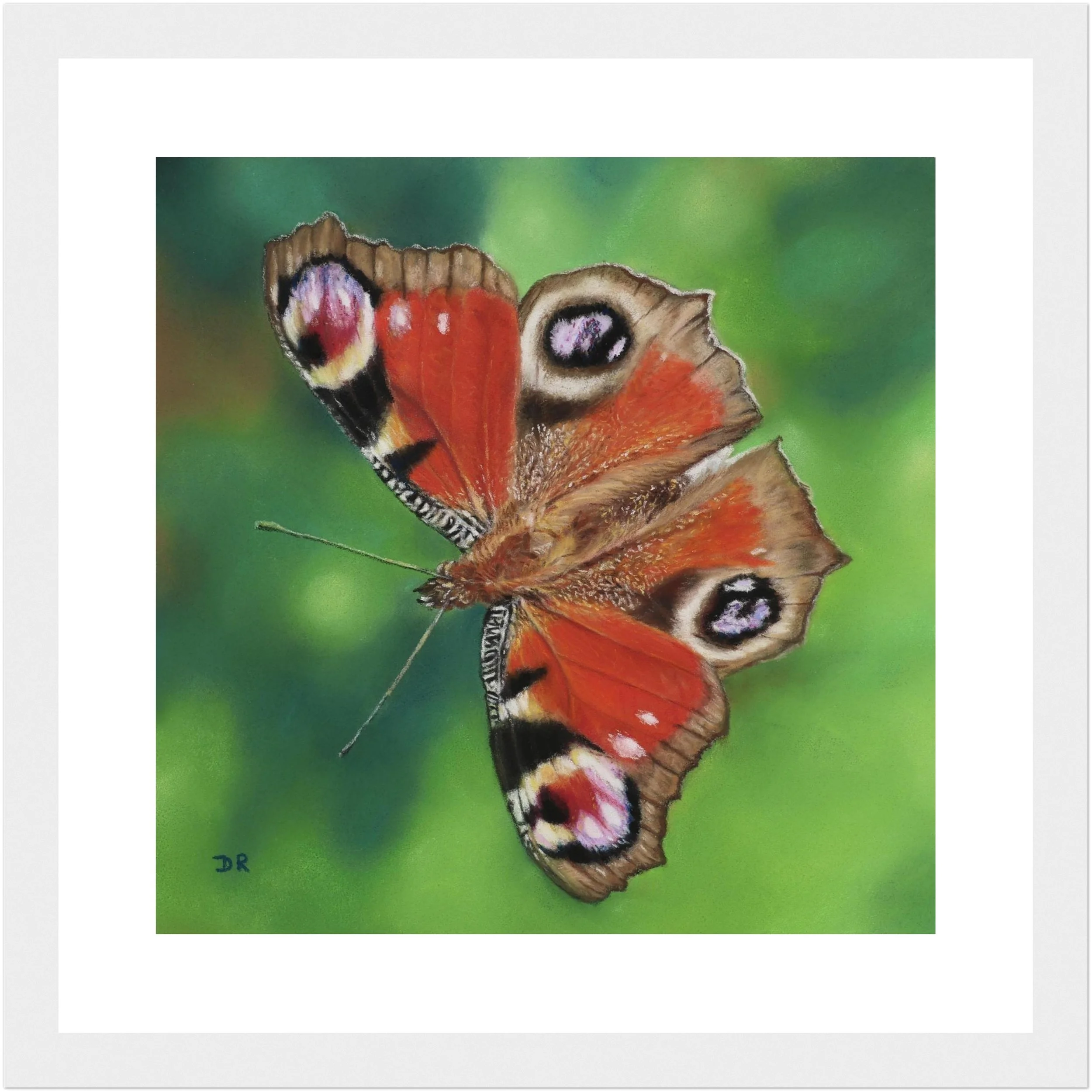 Peacock Butterfly / Le Mareynat - Fine Art Framed Poster