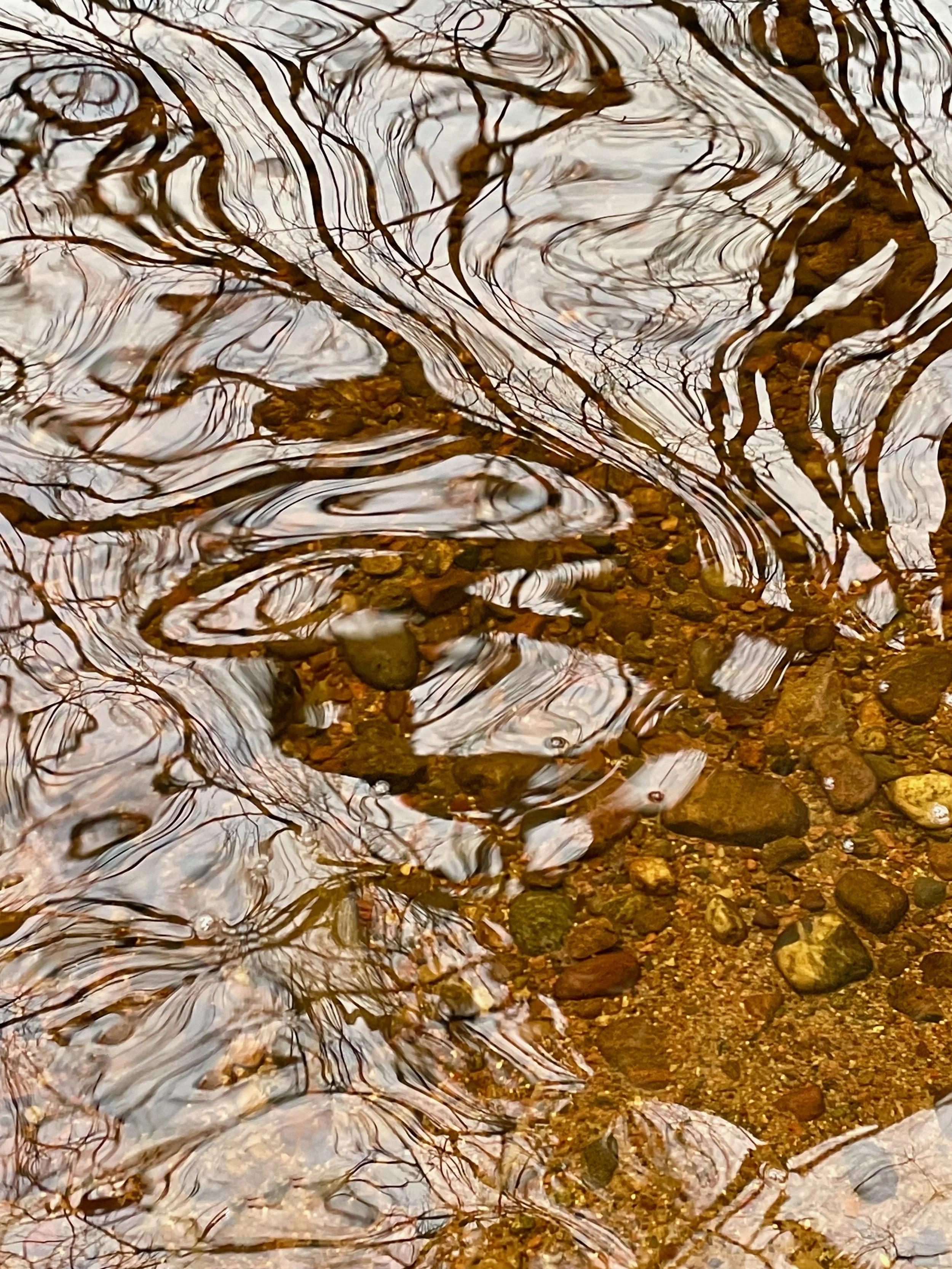 Reflections