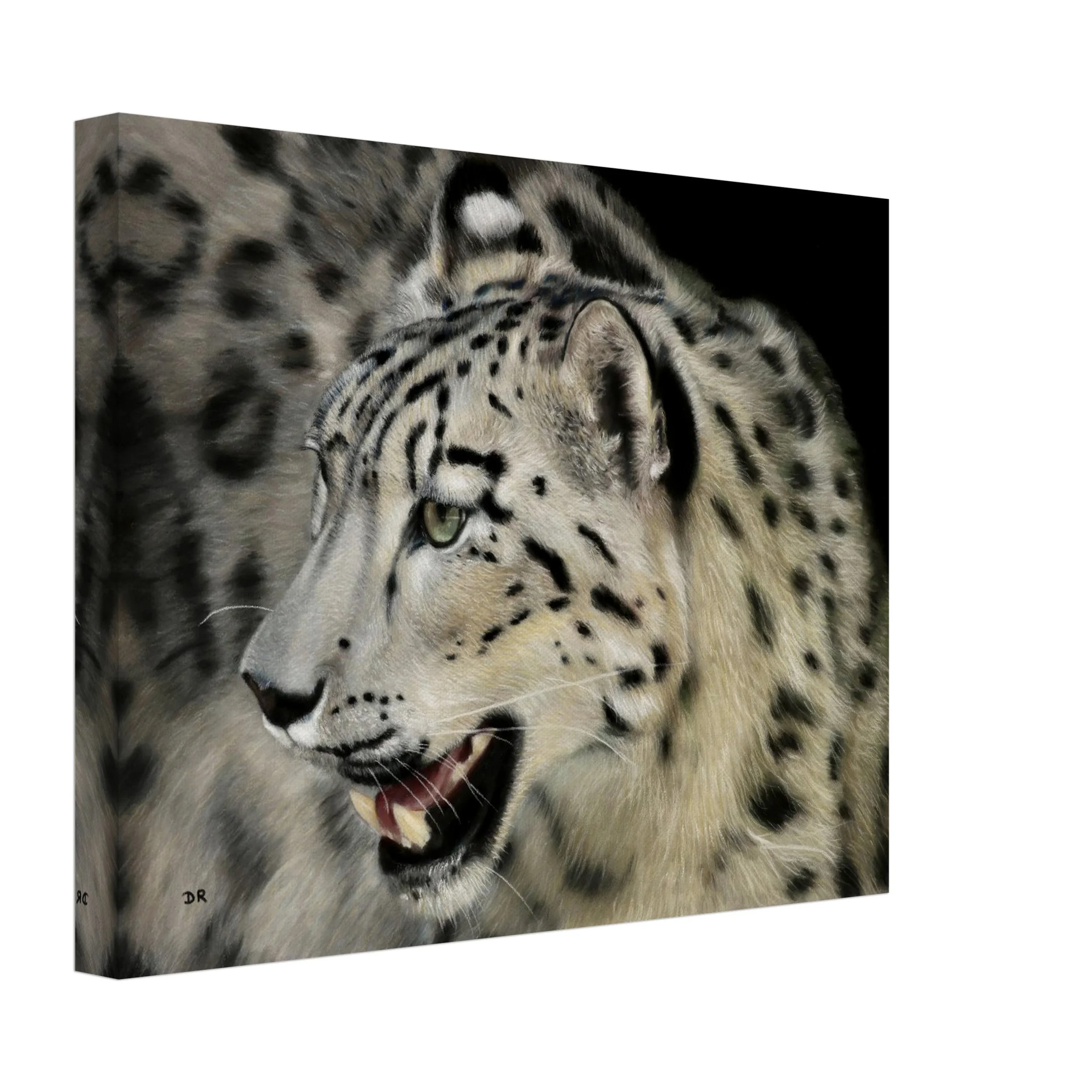 Snow Leopard I / St Martin  - Canvas