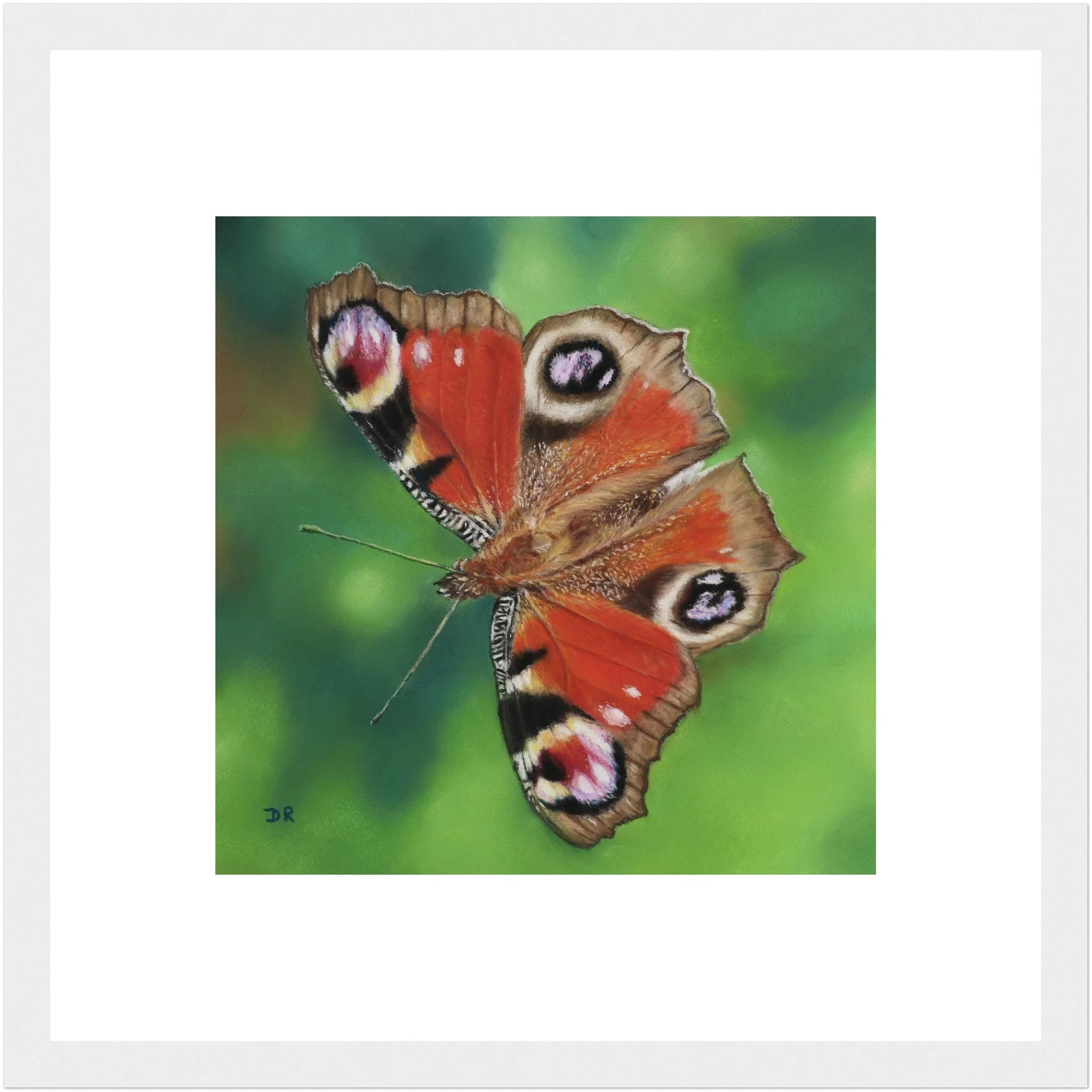 Peacock Butterfly / Le Mareynat - Fine Art Framed Poster