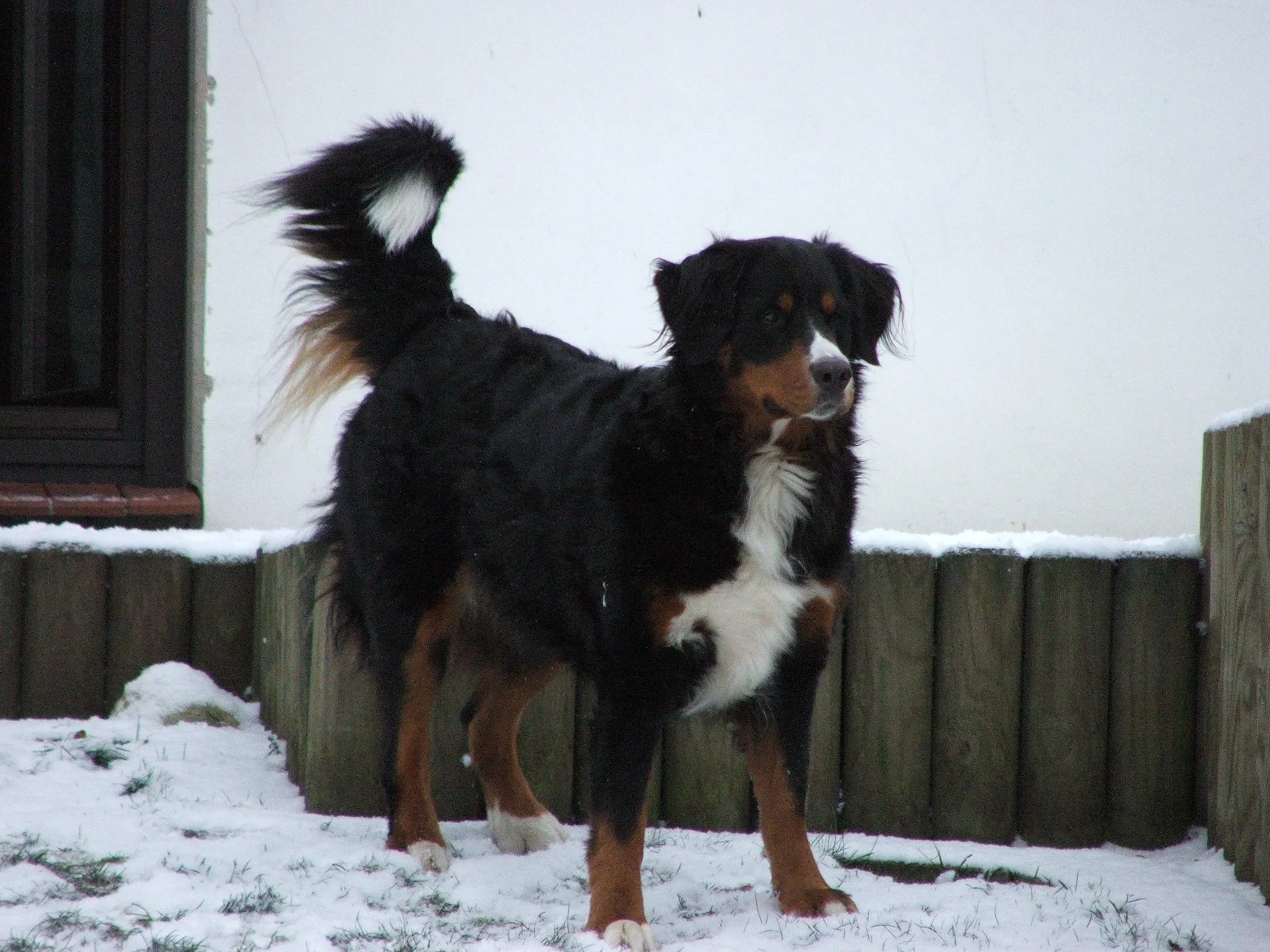 DSCF2890.JPG