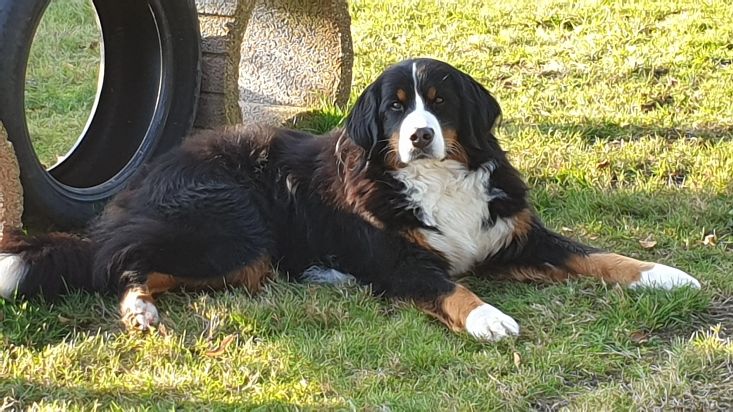 20191028_144920.jpg