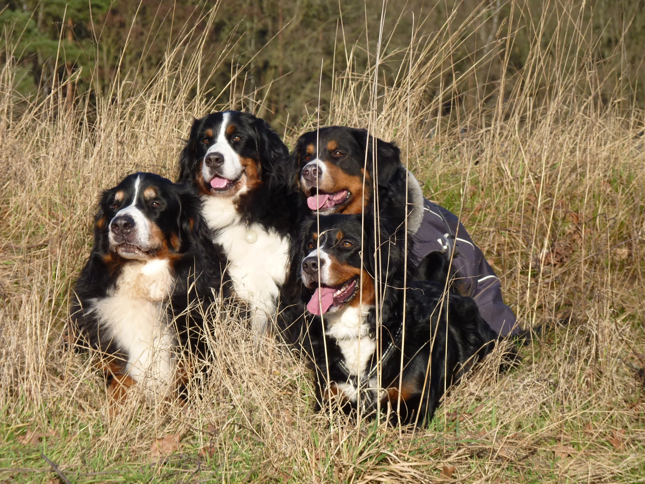 Hardy, Aimee, Tyla und Raya, sie waren so unfassbar eng miteinander (Jahreswechsel 2013/2014)