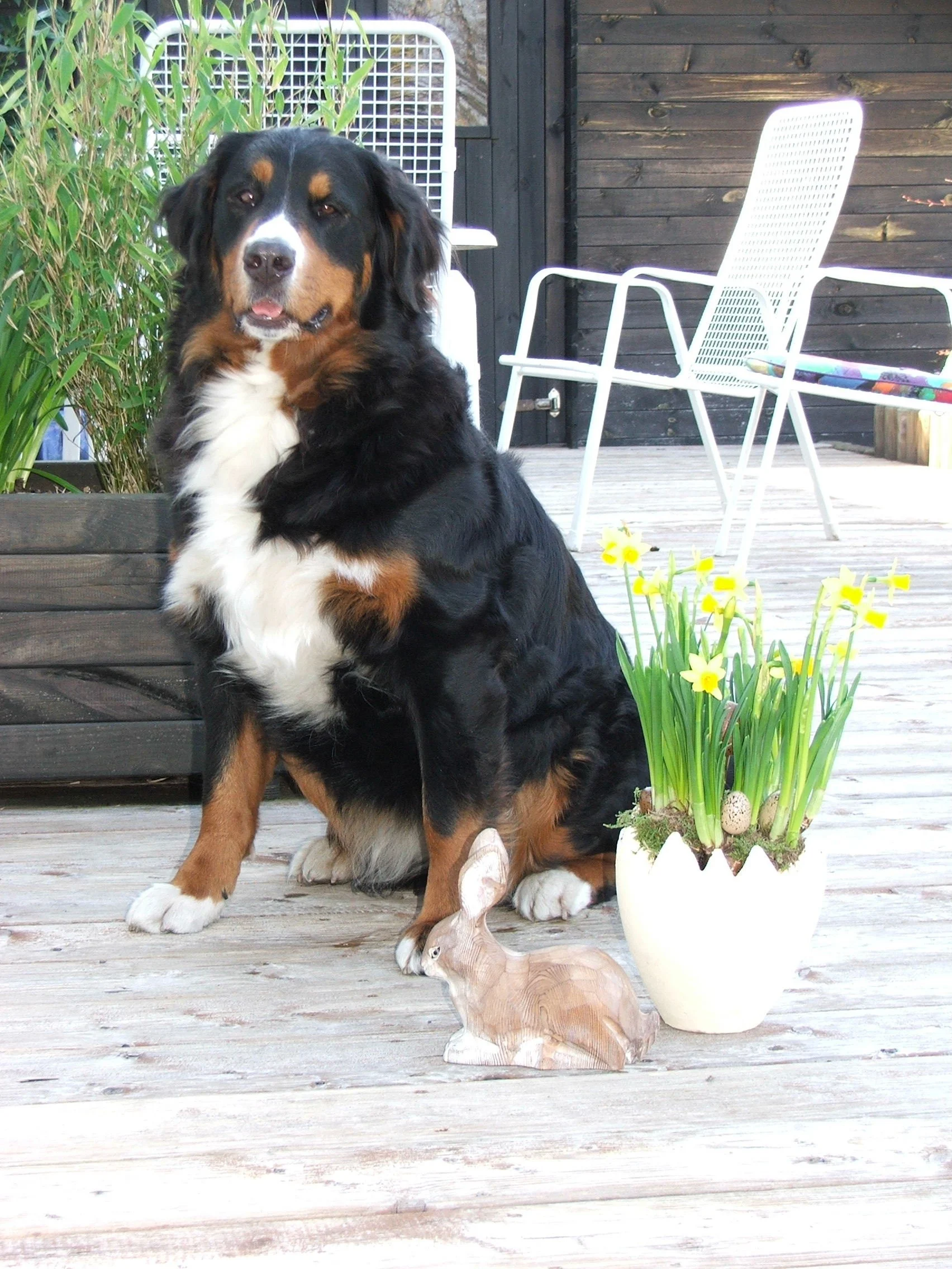 Frohe Ostern 