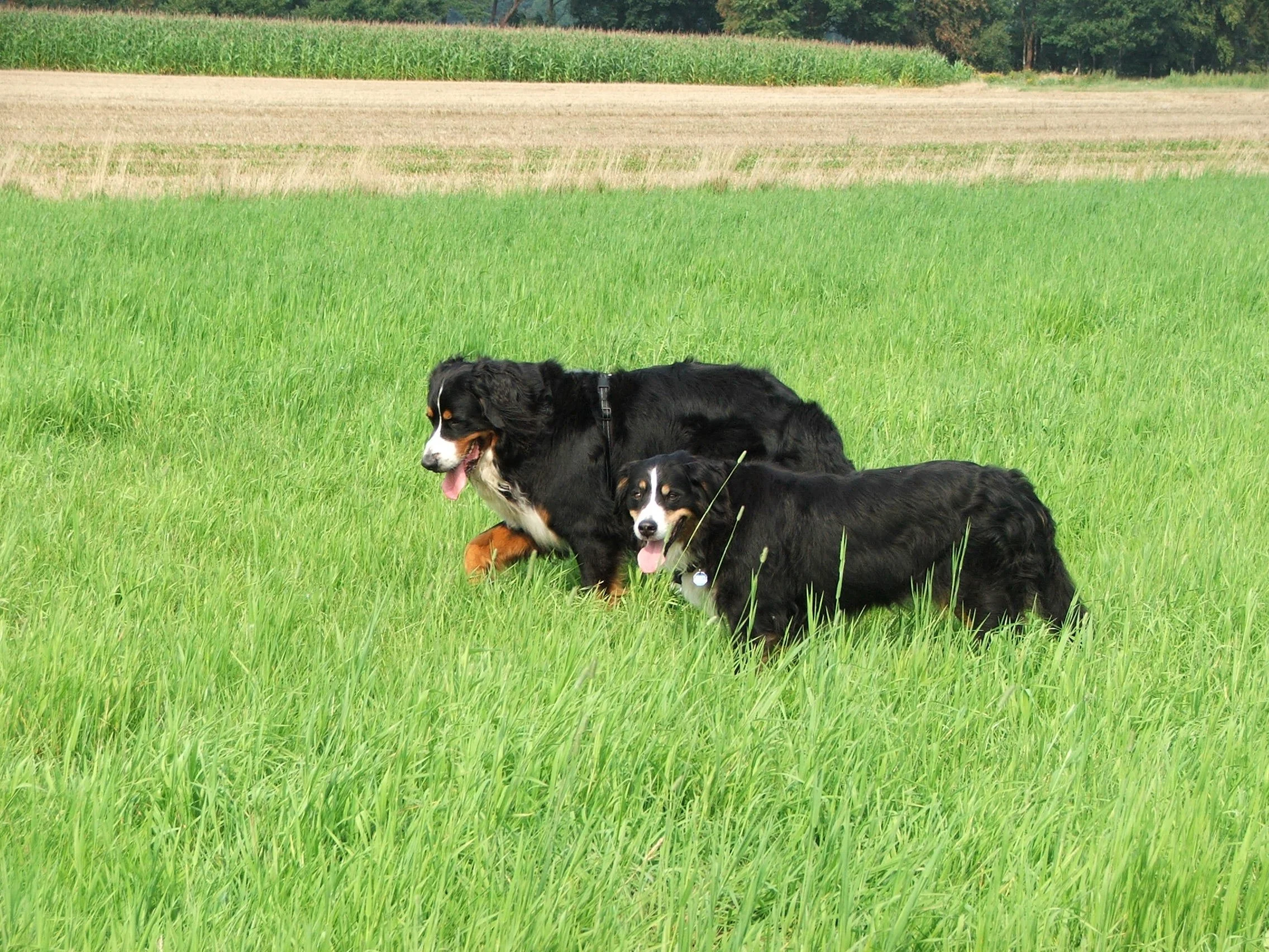 DSCF1264.JPG