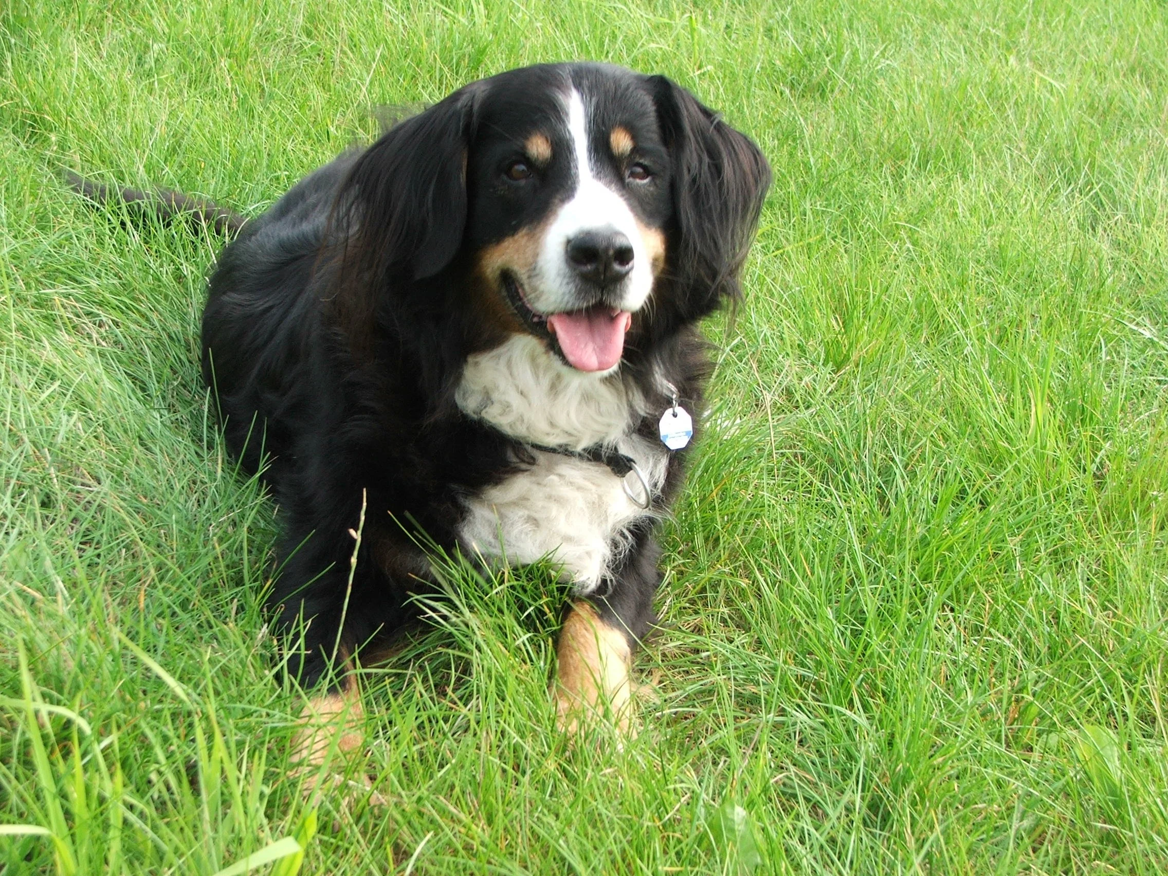 DSCF1237.JPG
