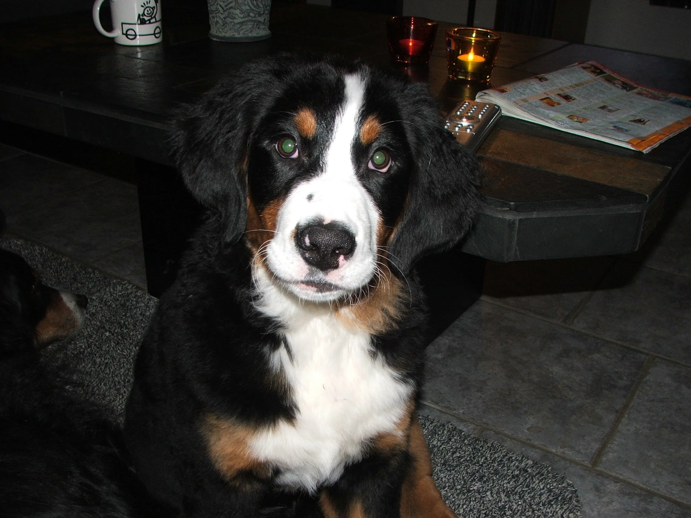 Aimee2008_0126_181045.JPG