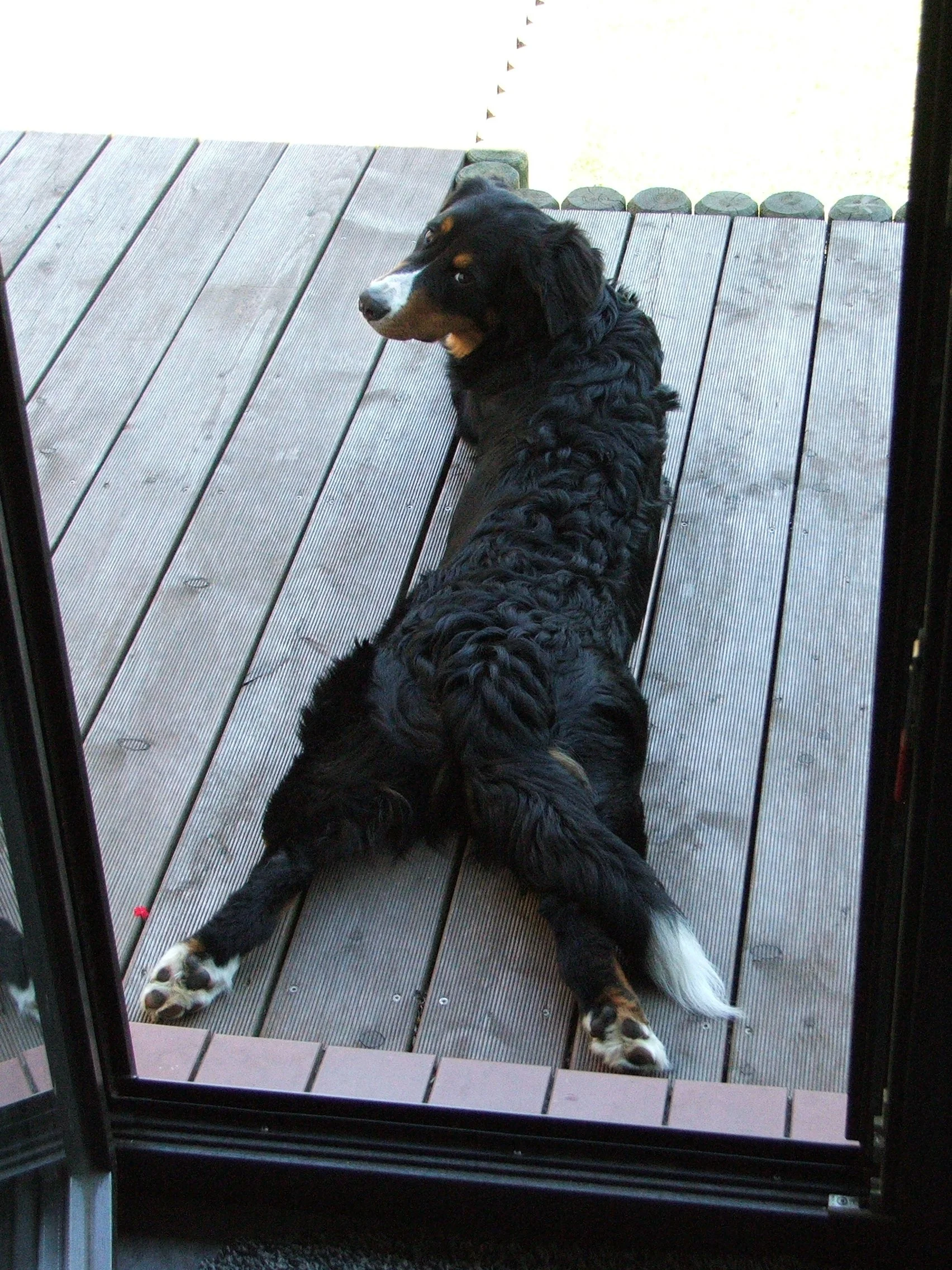 Tyla2006_0611_093700.JPG