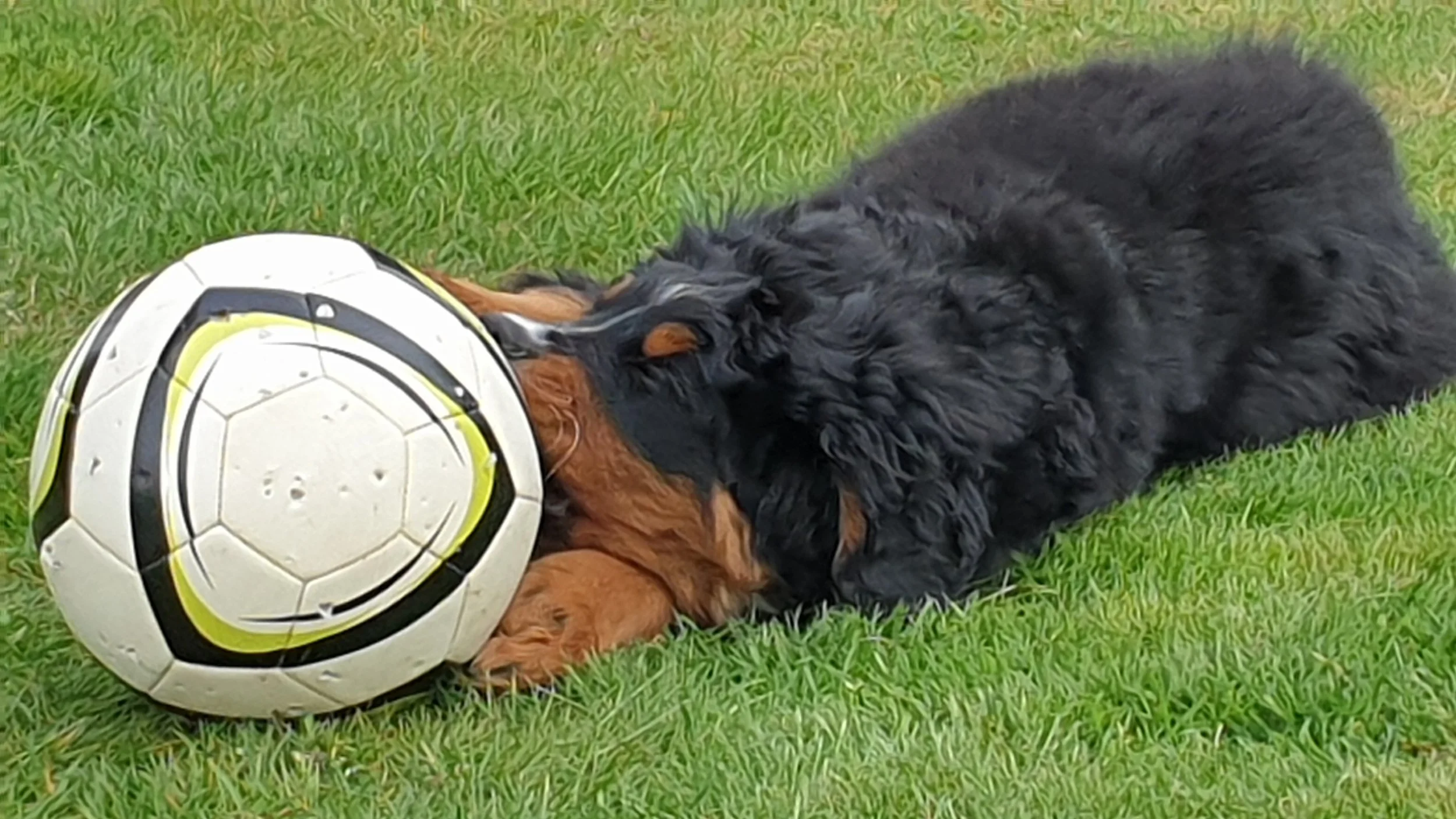 20220421_141024.jpg