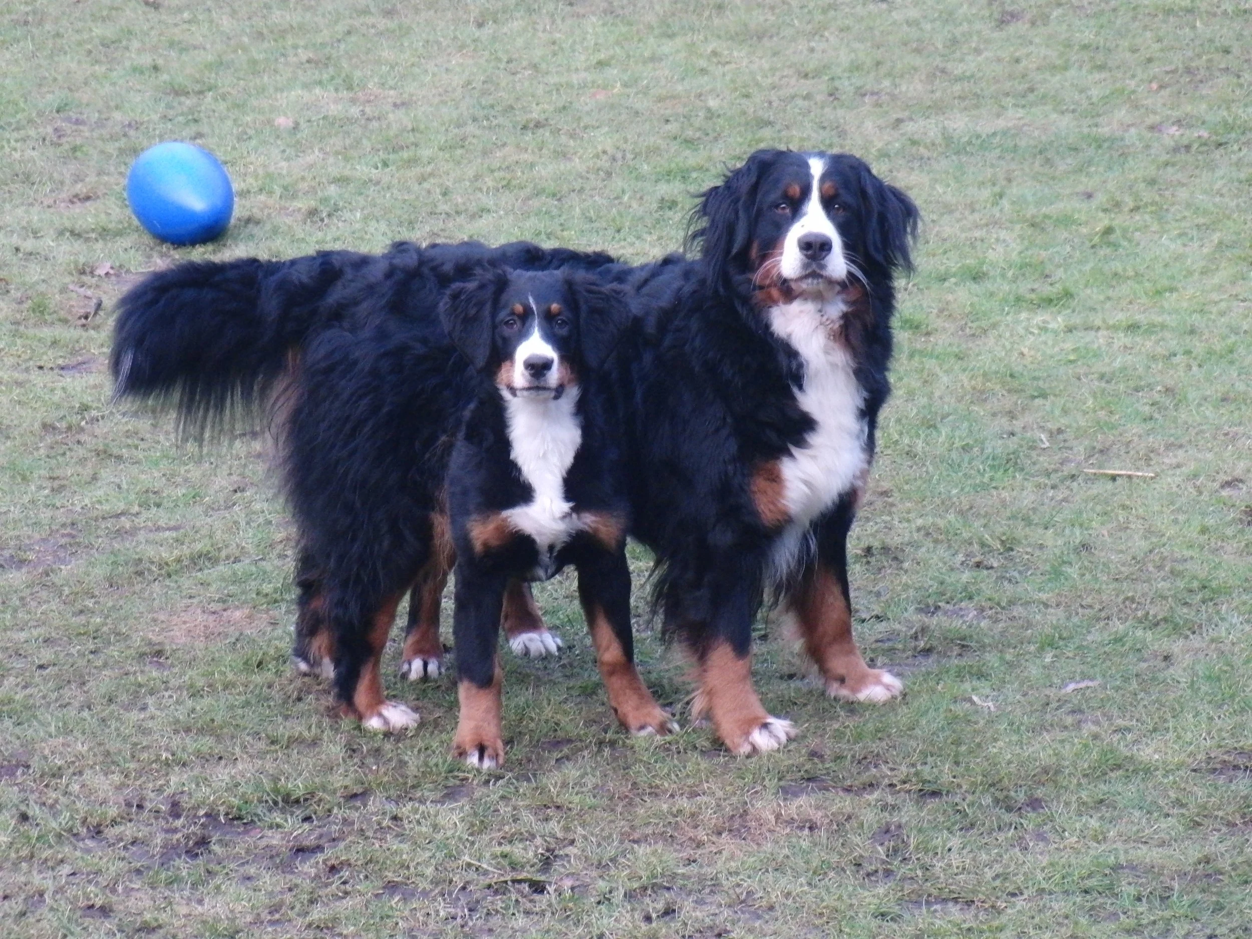 Aimee und Raya (Januar 2011)