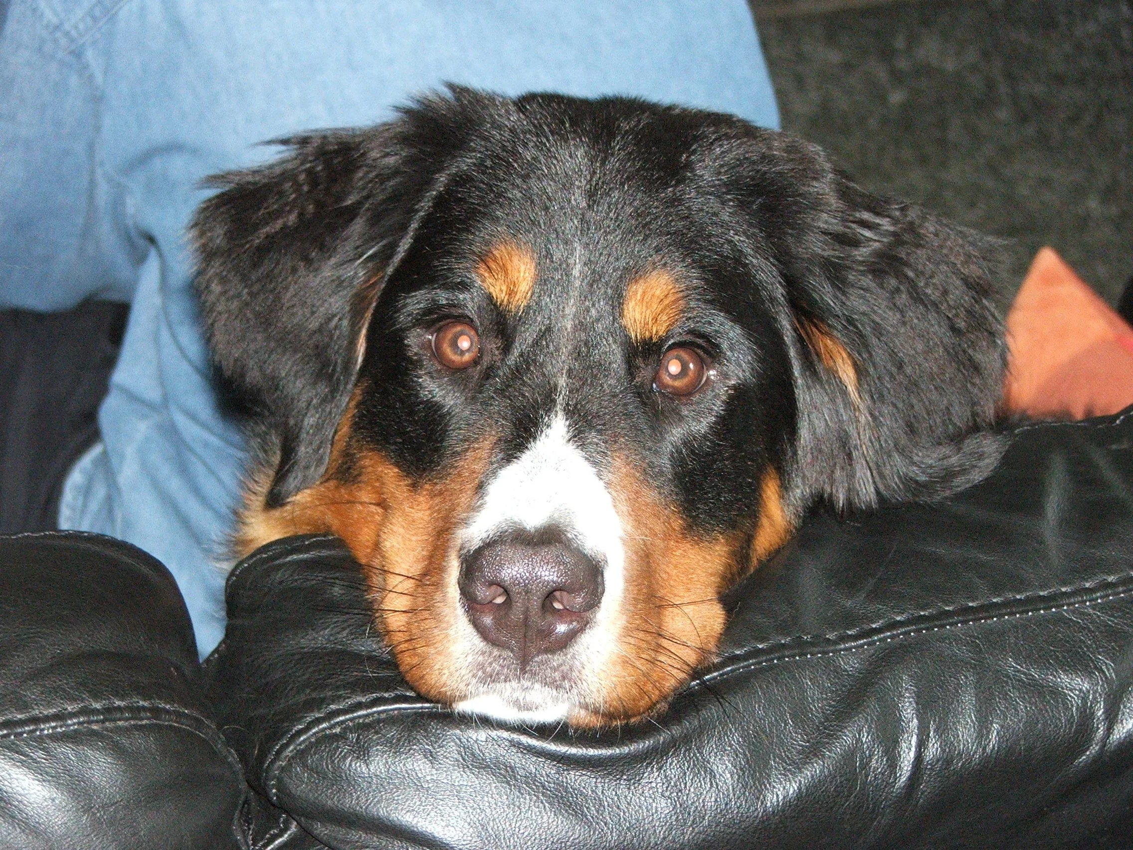 Tyla2006_0822_103849.JPG