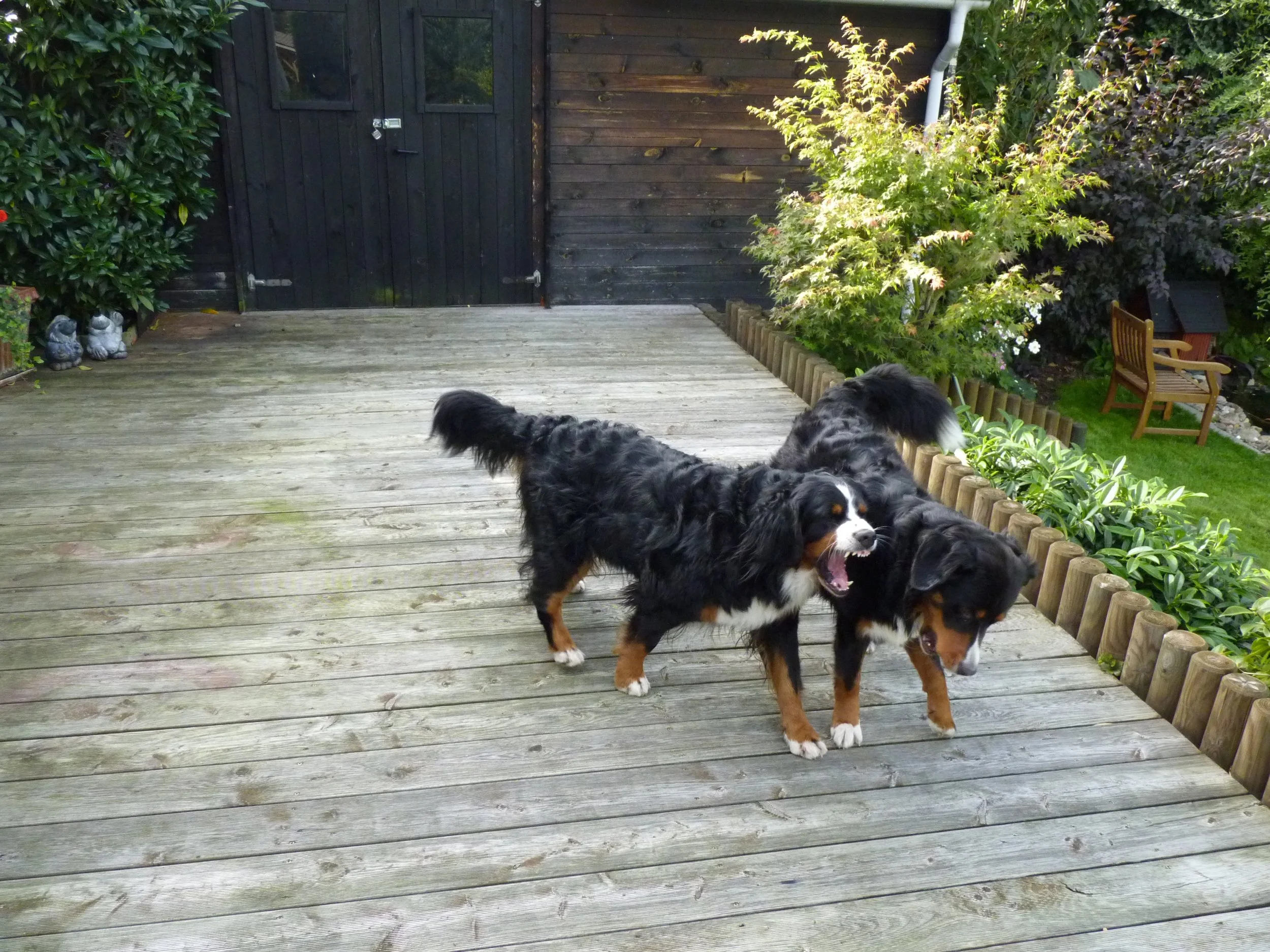 Aimee und Tyla (September 2010)