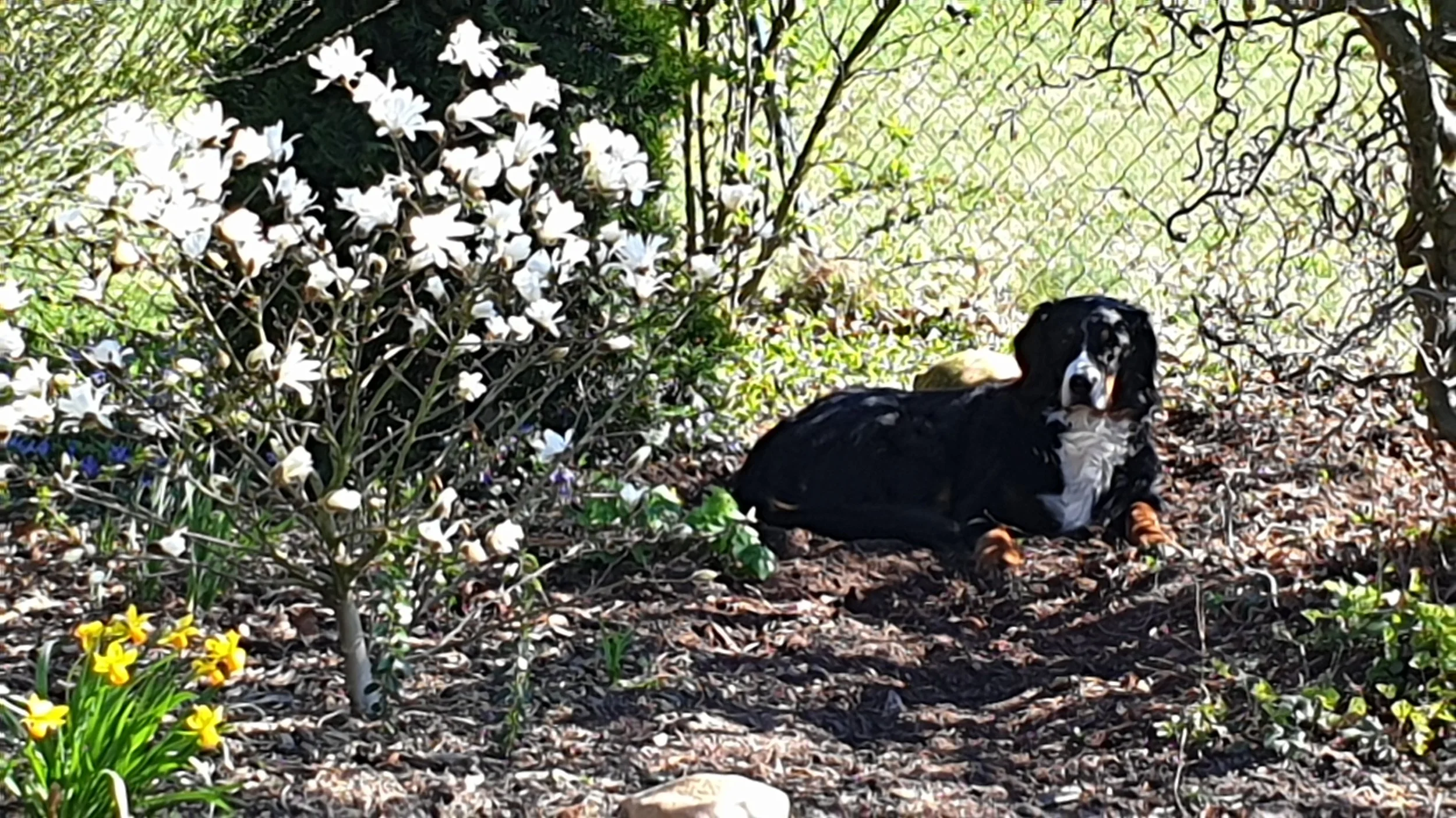 20190401_150225.jpg