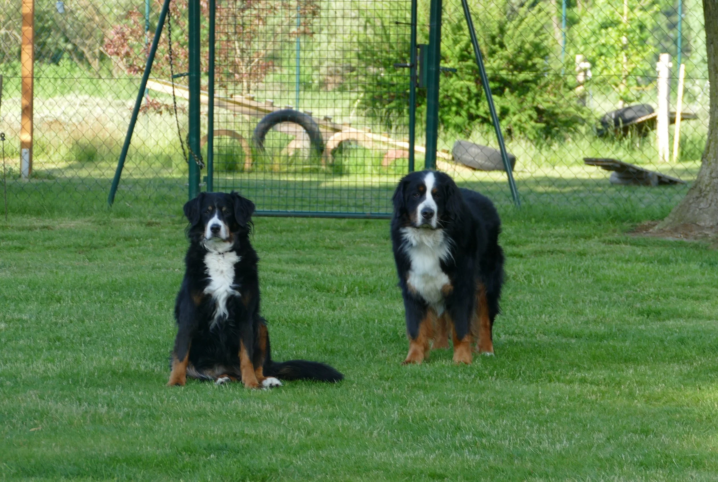 Raya und Daris (Juni 2021)