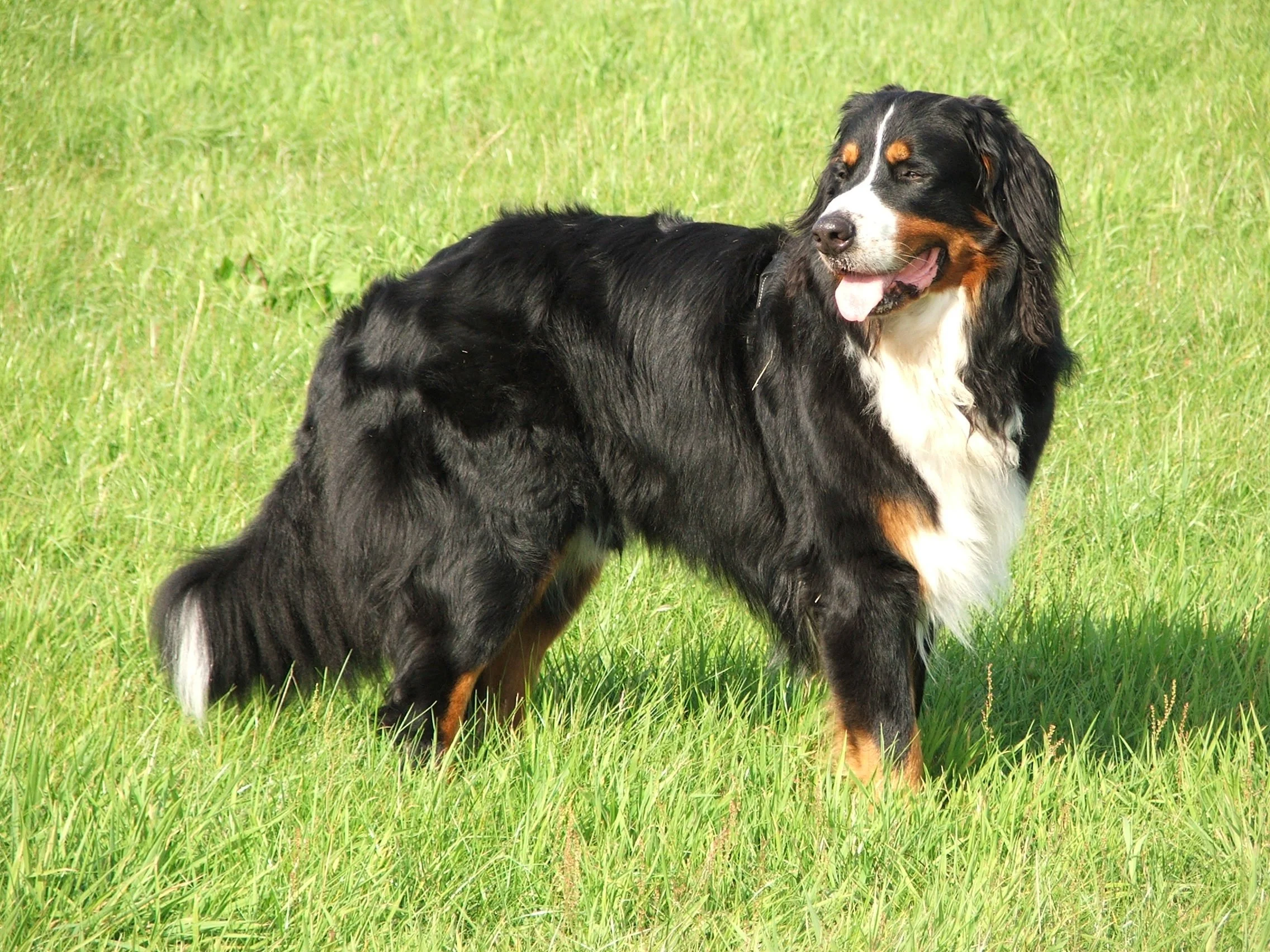 DSCF1358.JPG
