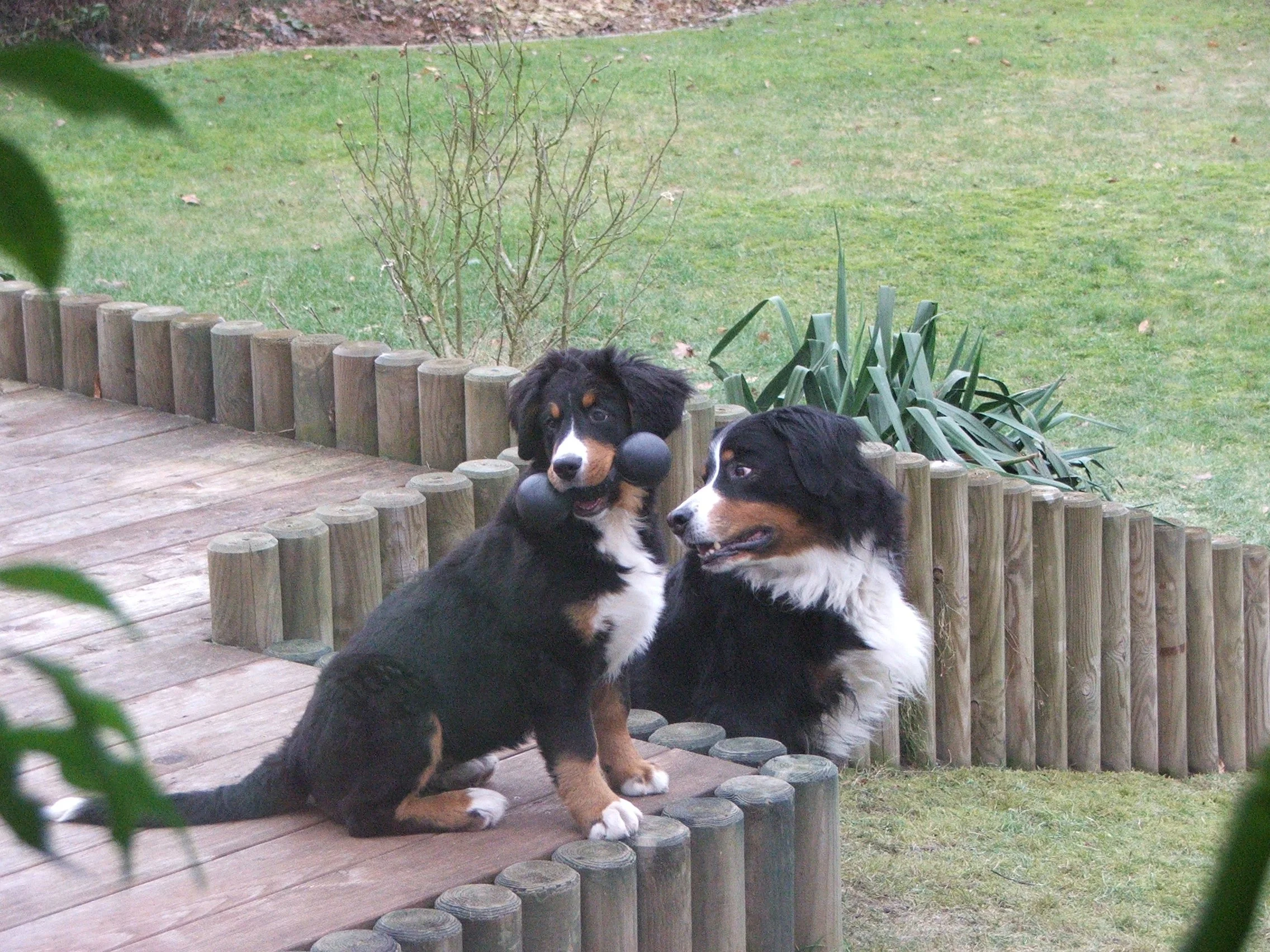 Tyla wächst wie verrückt (Februar 2006)