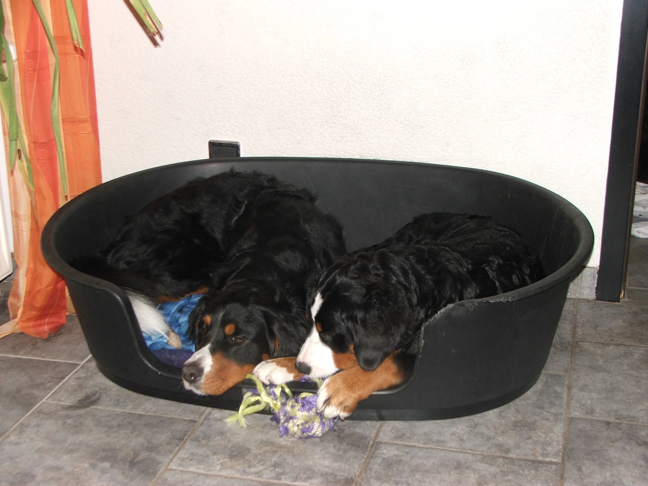 März 2008