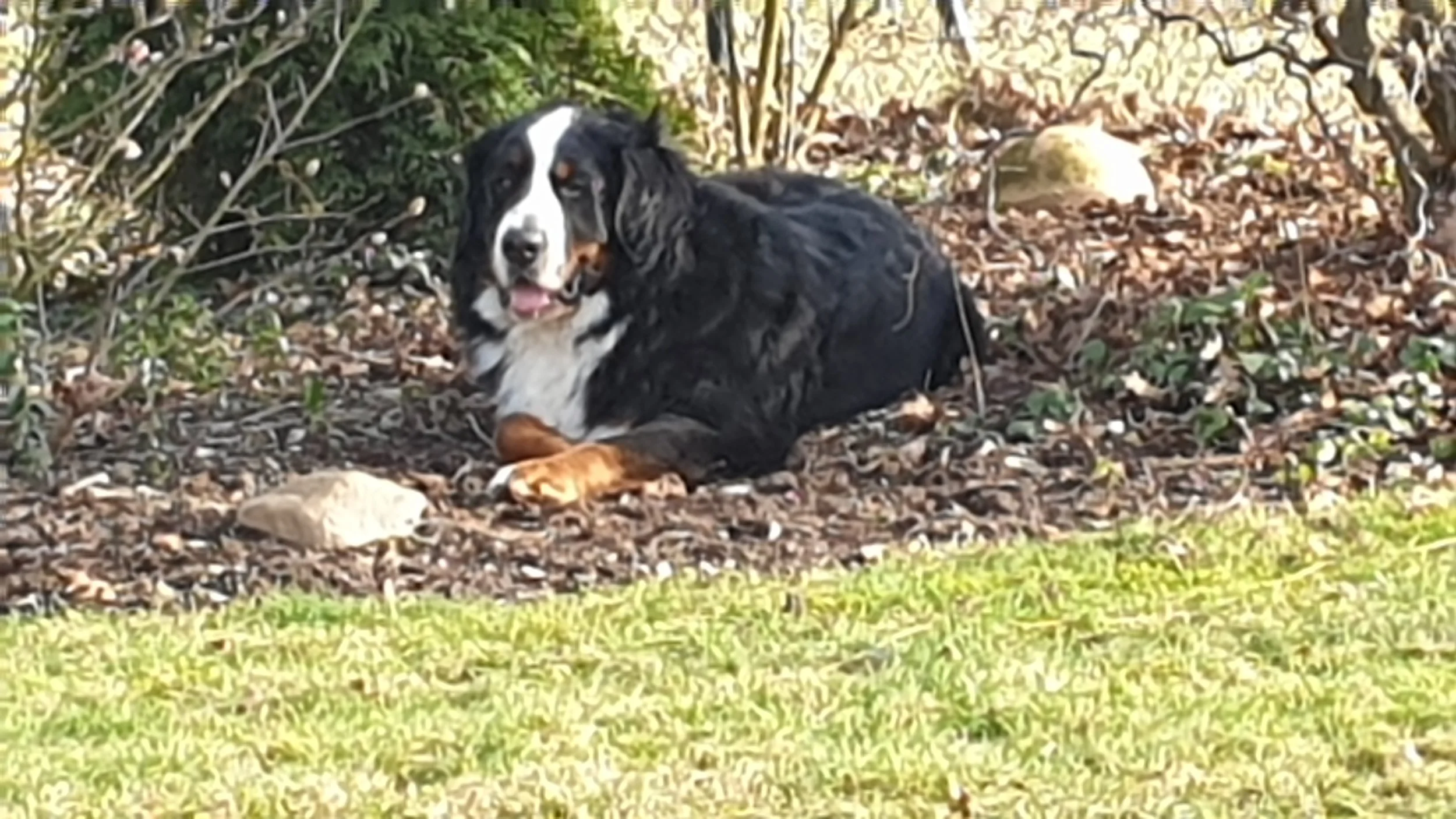 20190216_142536.jpg