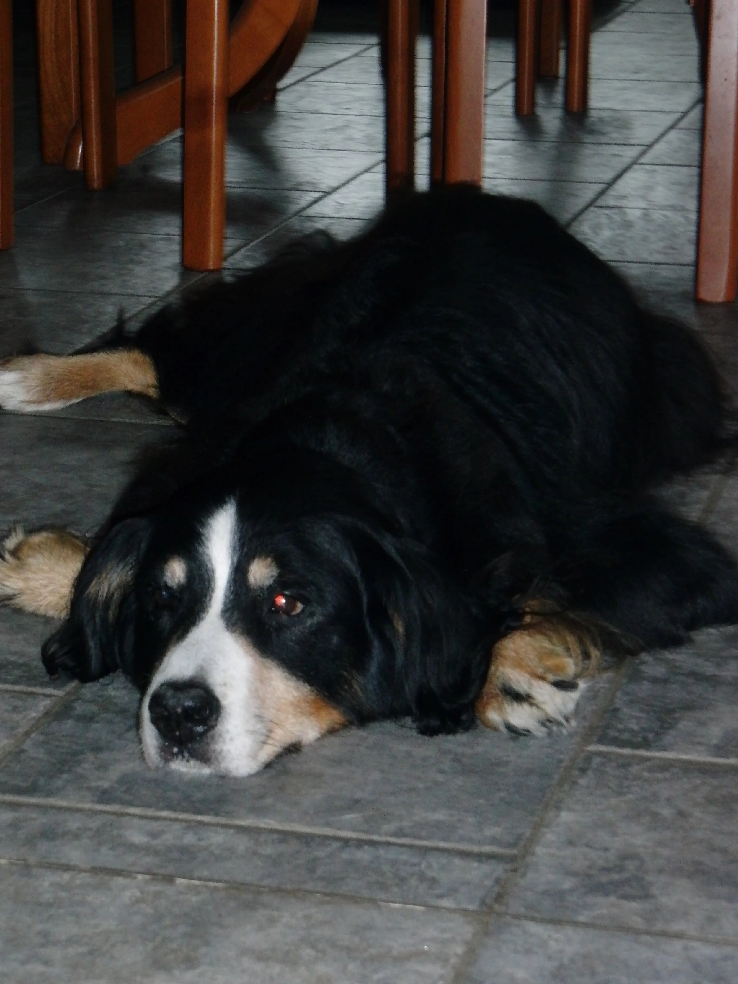 CIMG0892.JPG