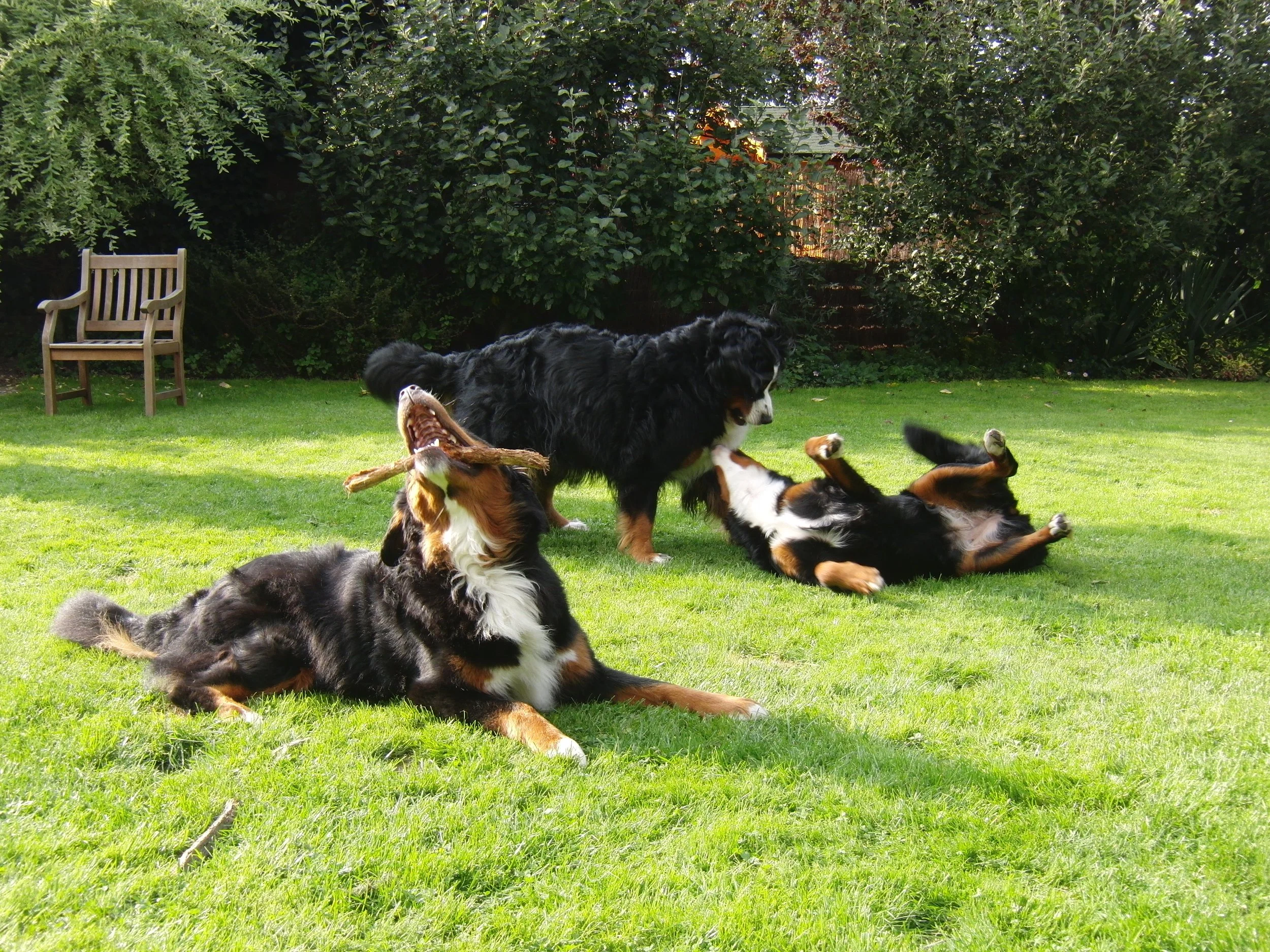 Die 3 Mädels (September 2011)
