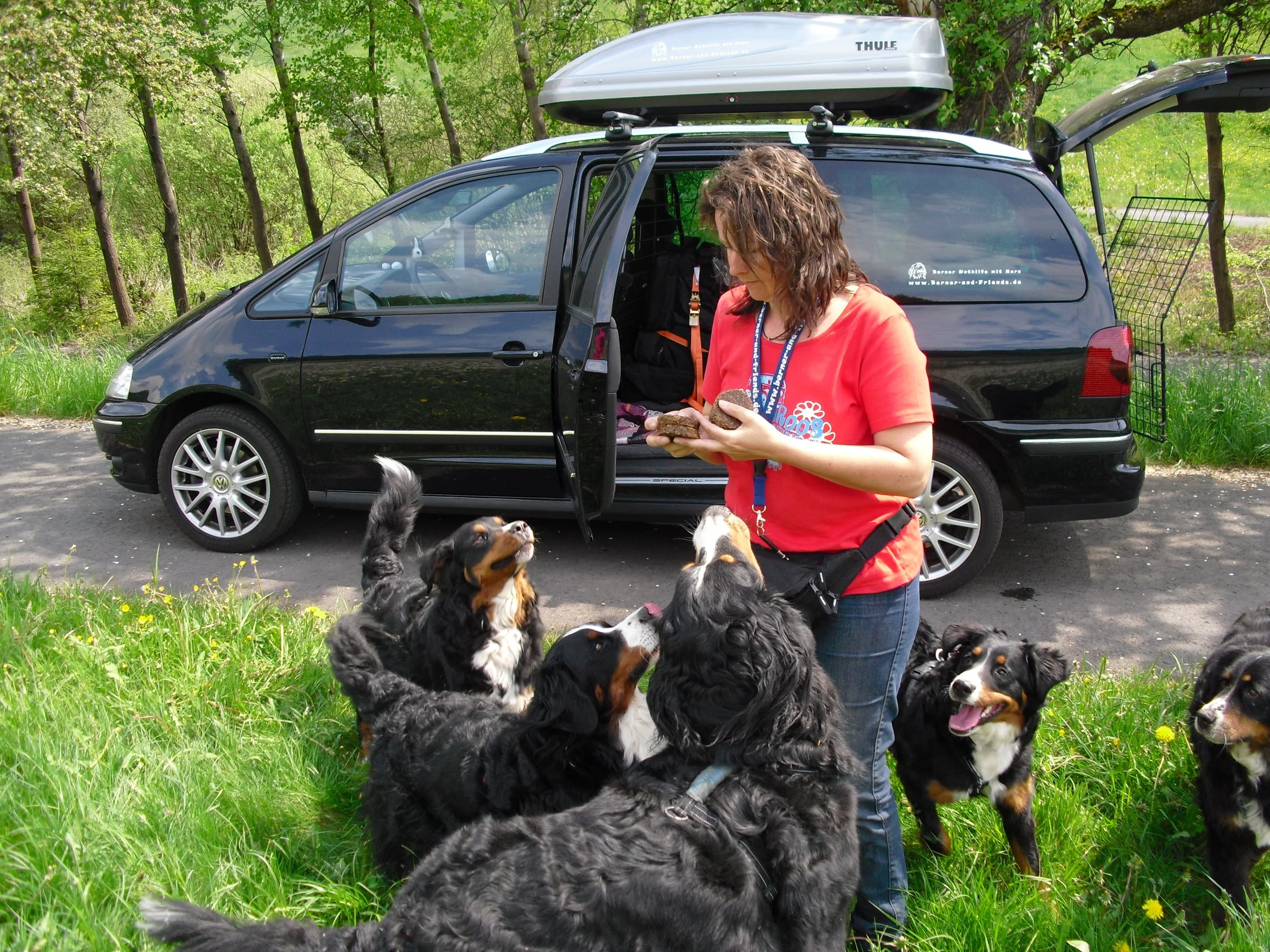 Bernertour im Mai 2010 mit meiner Freundin Nicole und ihrer Asja und Hardy, Tyla, Aimee und Raya