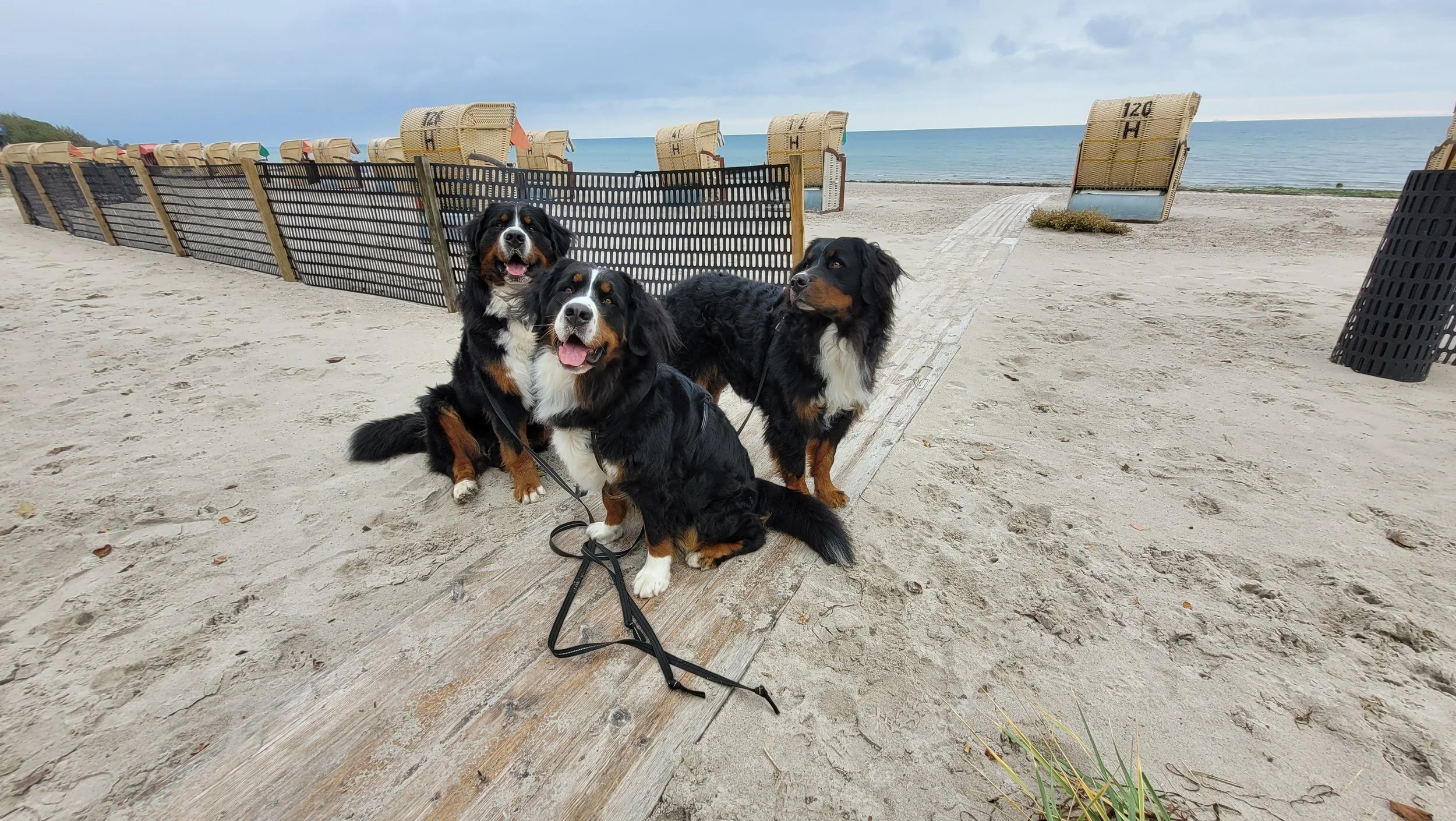 Um diese Zeit ist es zu schön an der Ostsee. Es ist nicht mehr so viel los und man kann überall toll am Strand laufen.