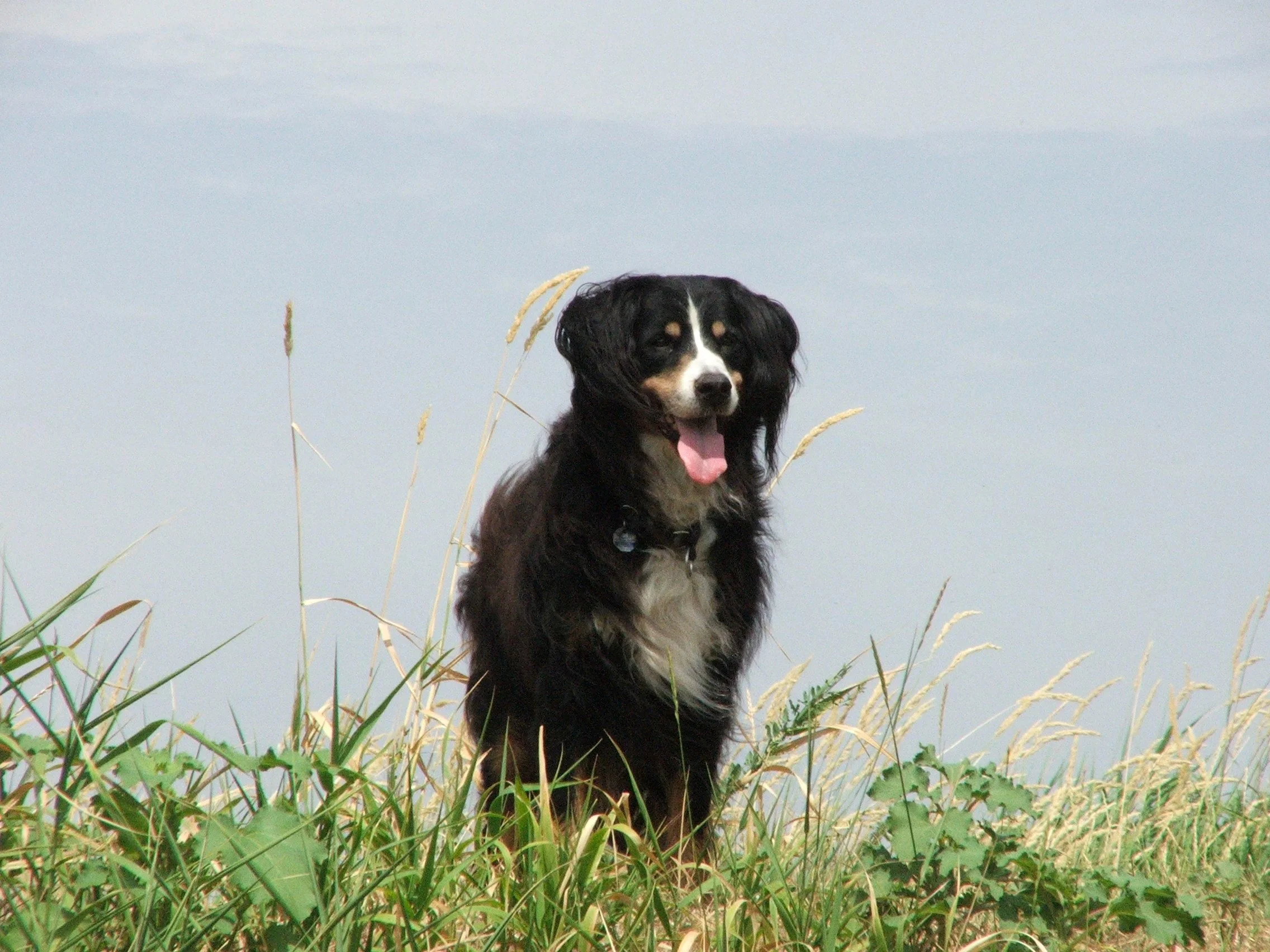 DSCF4592.JPG
