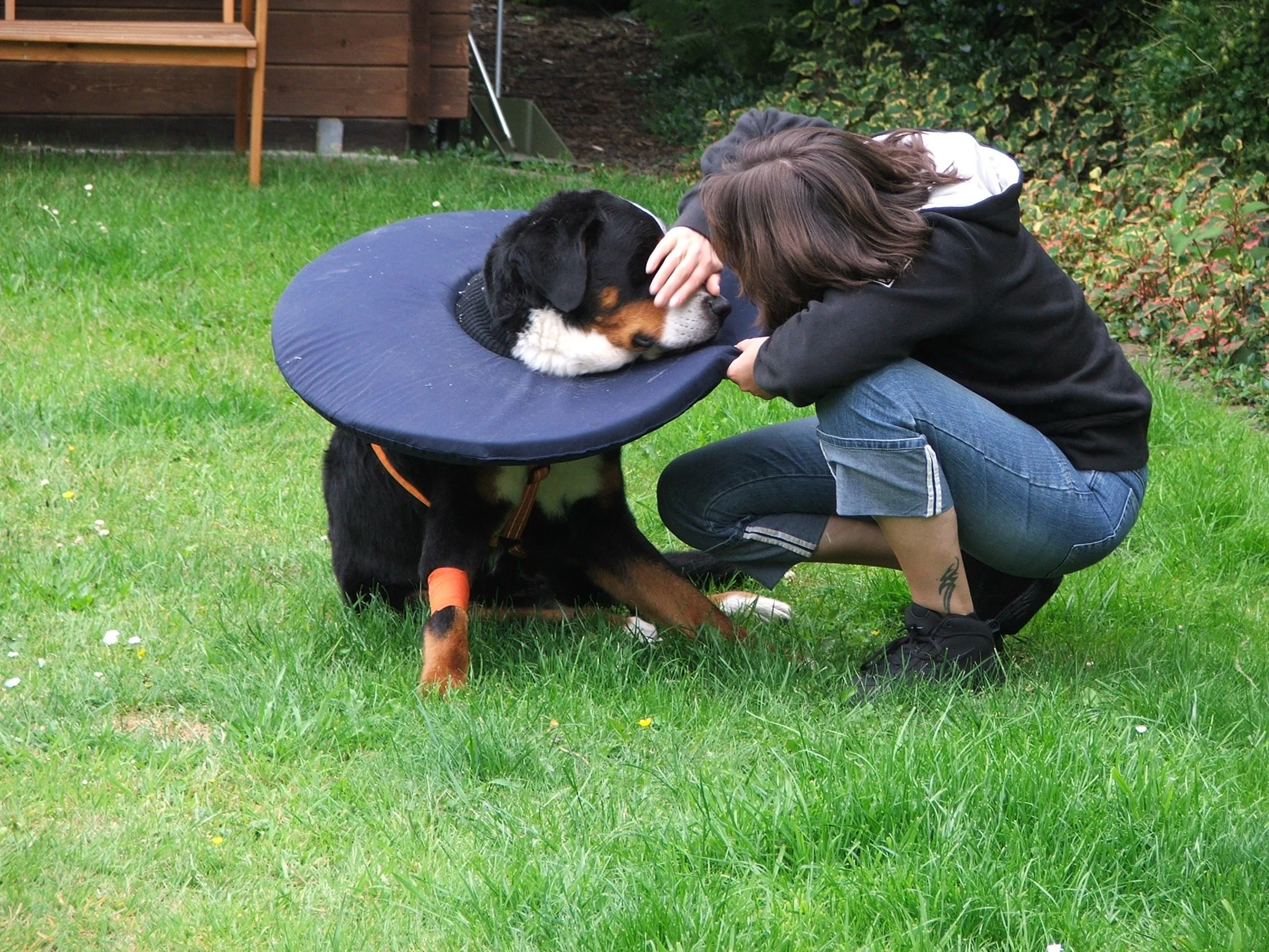 DSCF0463.JPG