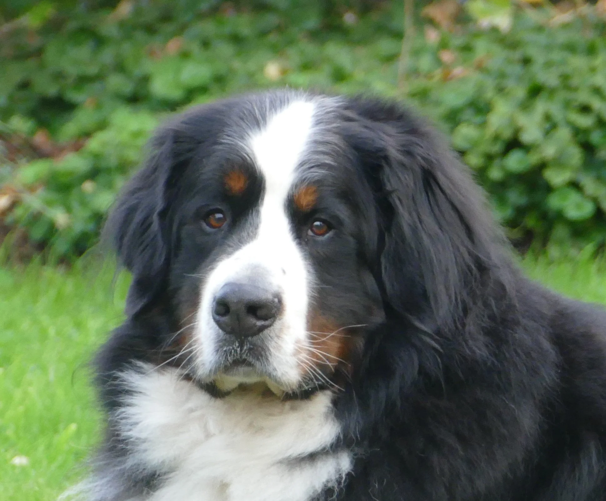 Dieser Blick... unglaublich...!