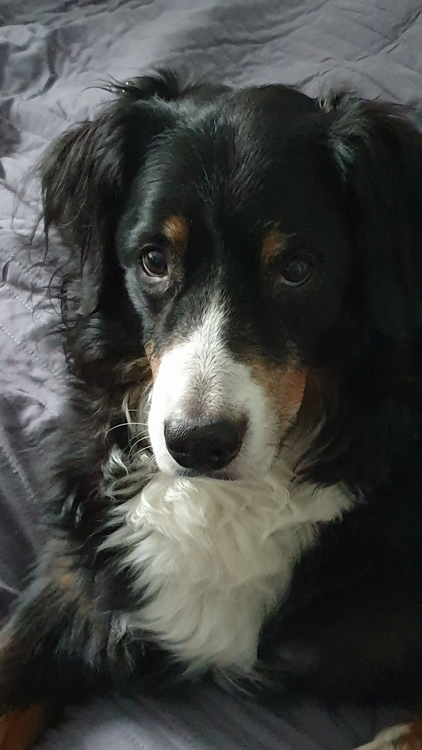 Sooo süß :-)