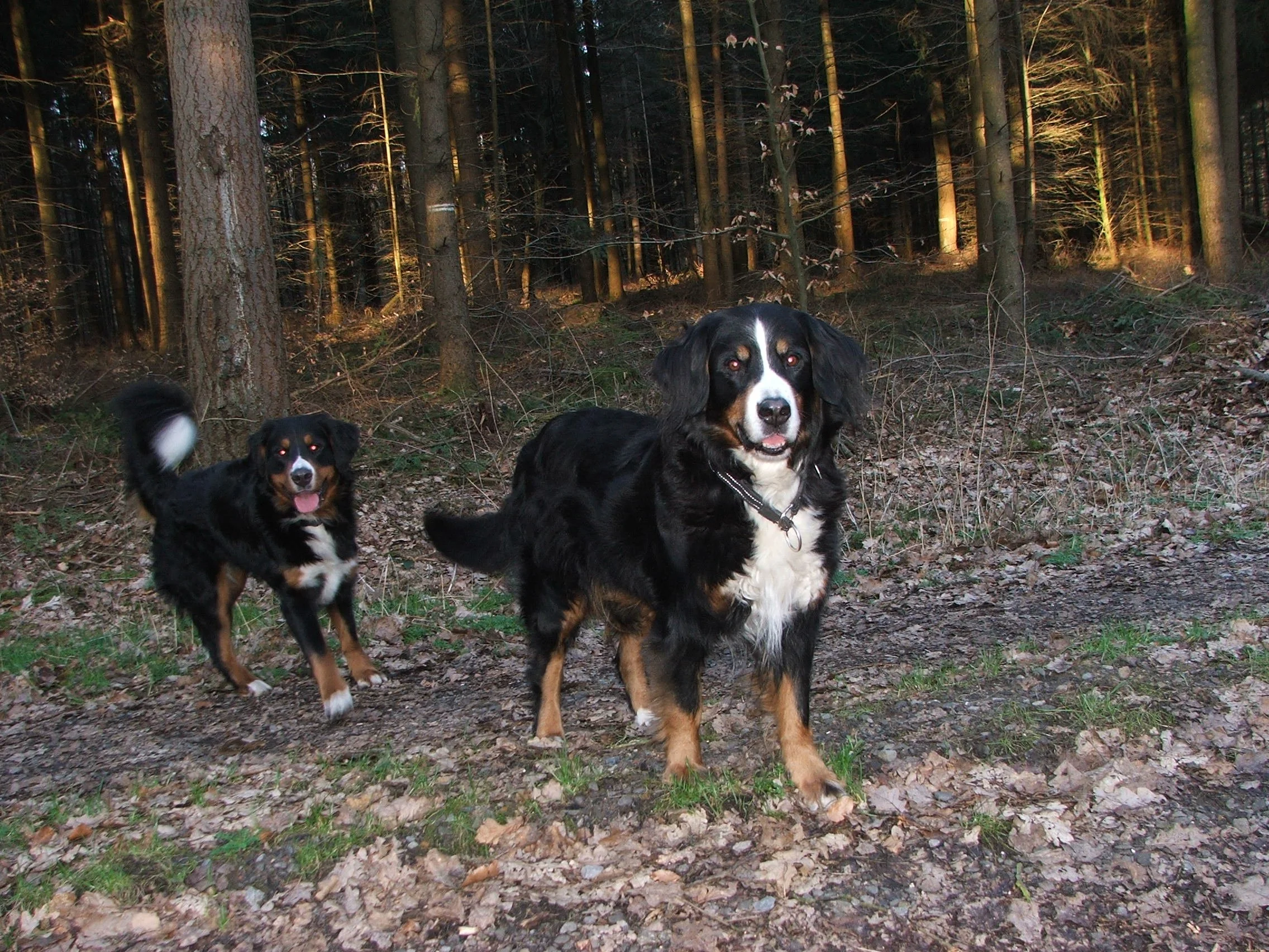 Tyla und Kenya (Februar 2008)