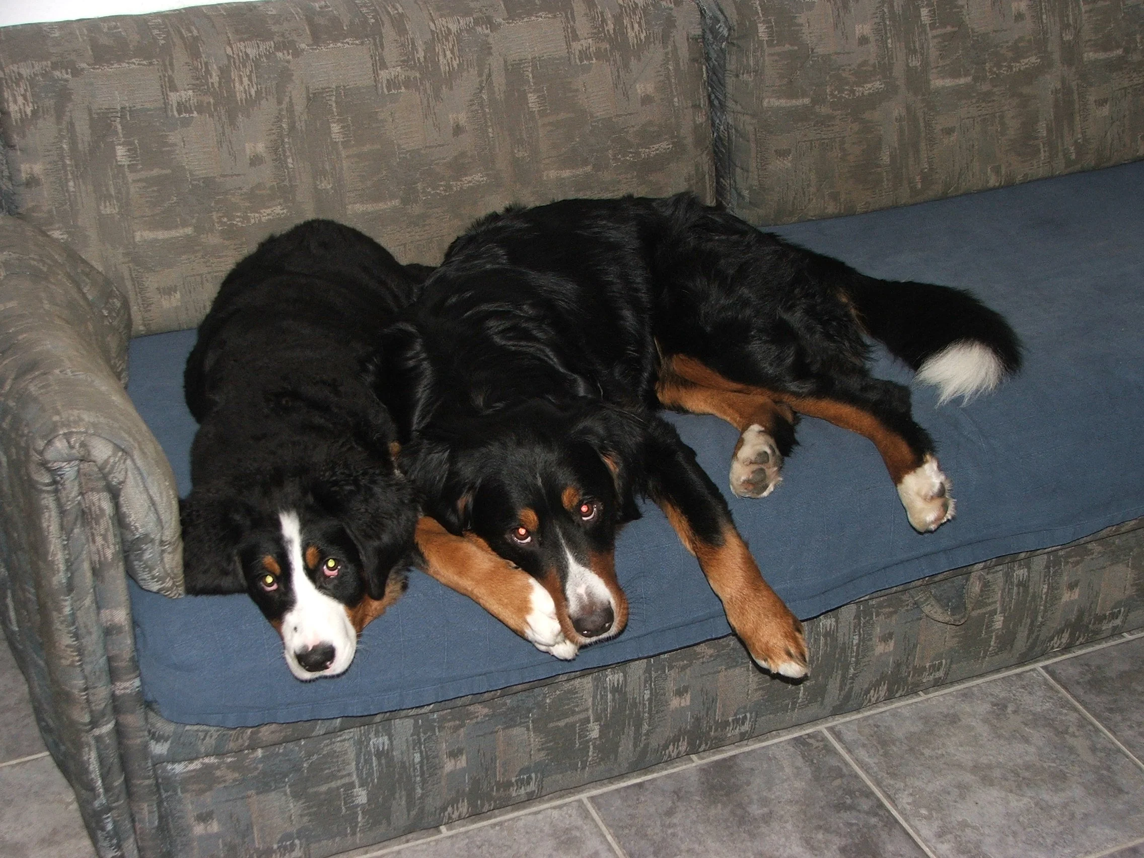 Aimee und Tyla