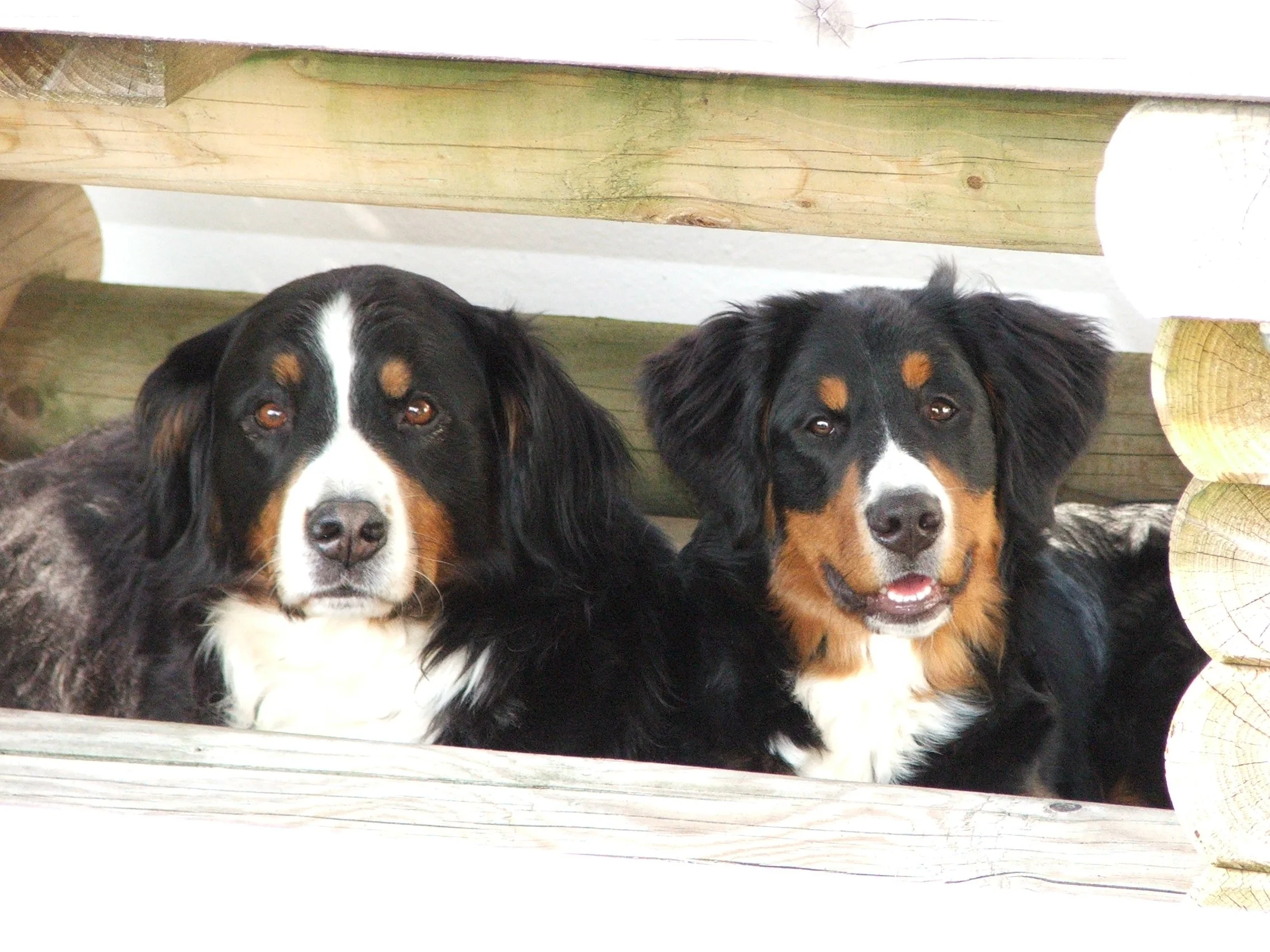 Kenya und Tyla (April 2006)