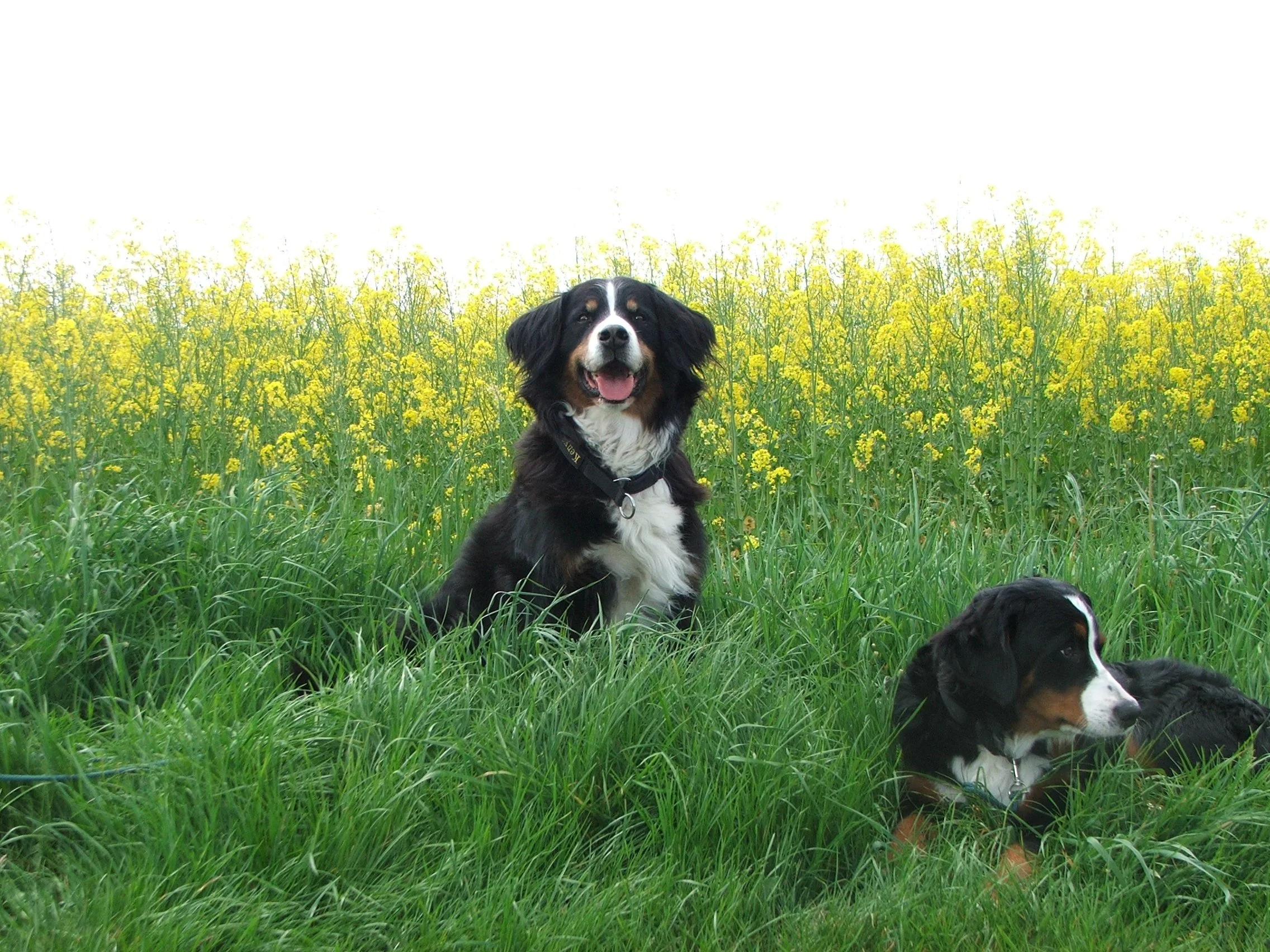 Kenya und Aimee (Mai 2008)