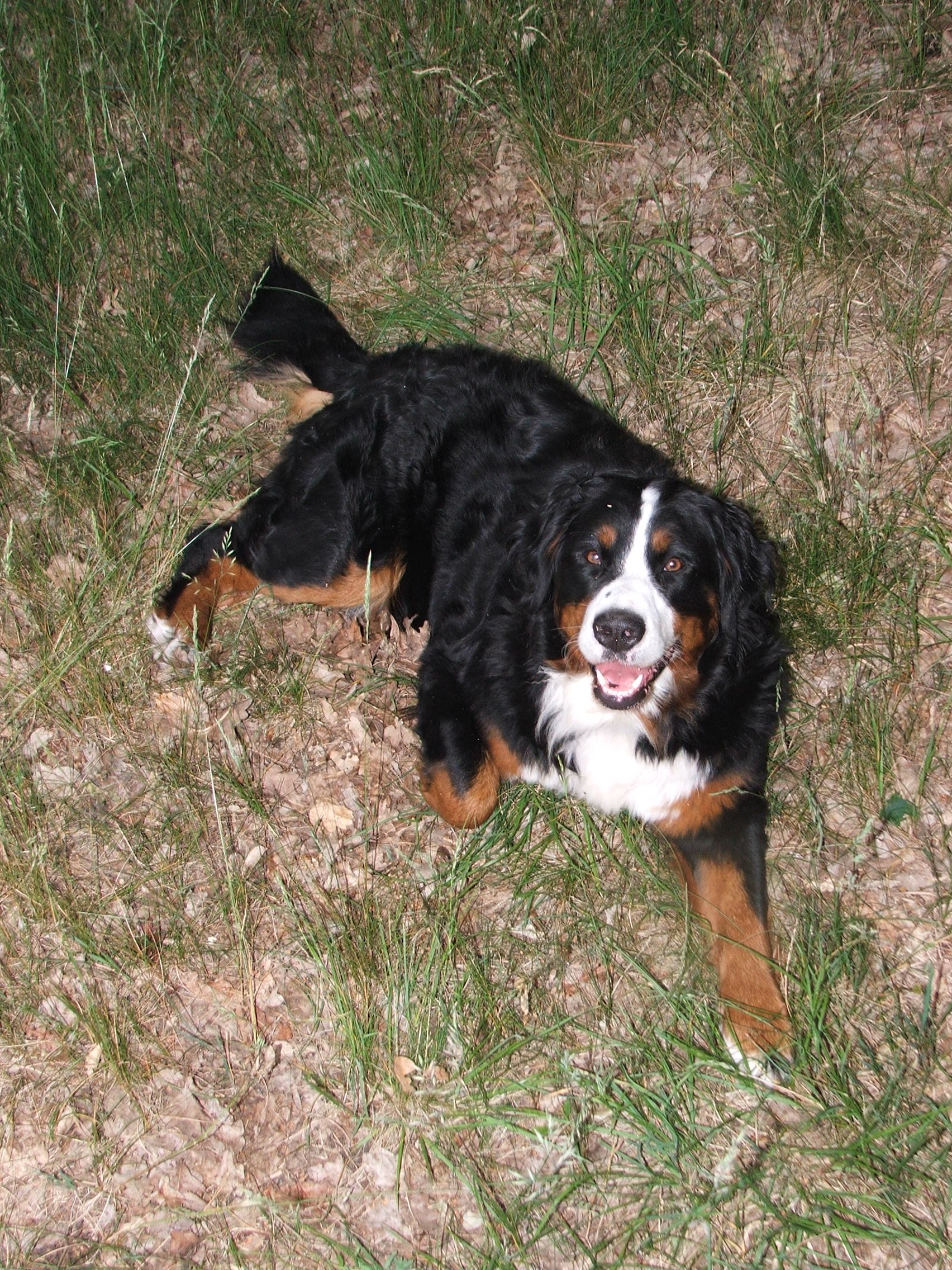 DSCF0147.JPG