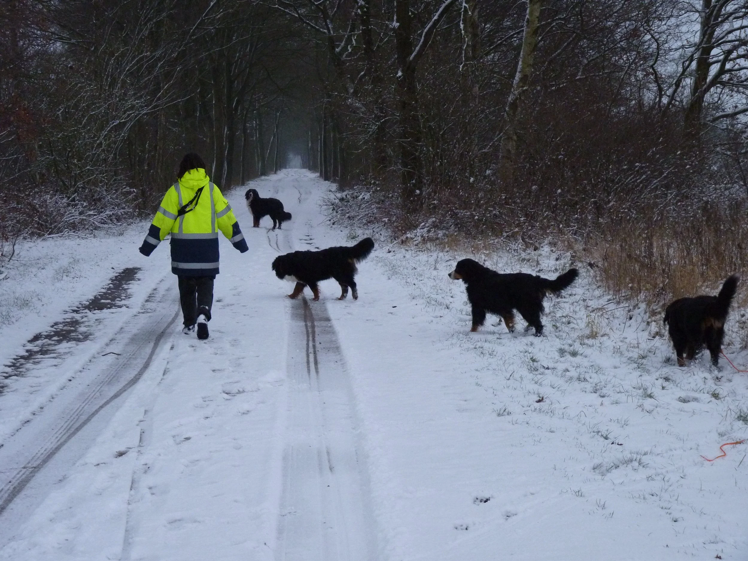 Dezember 2009