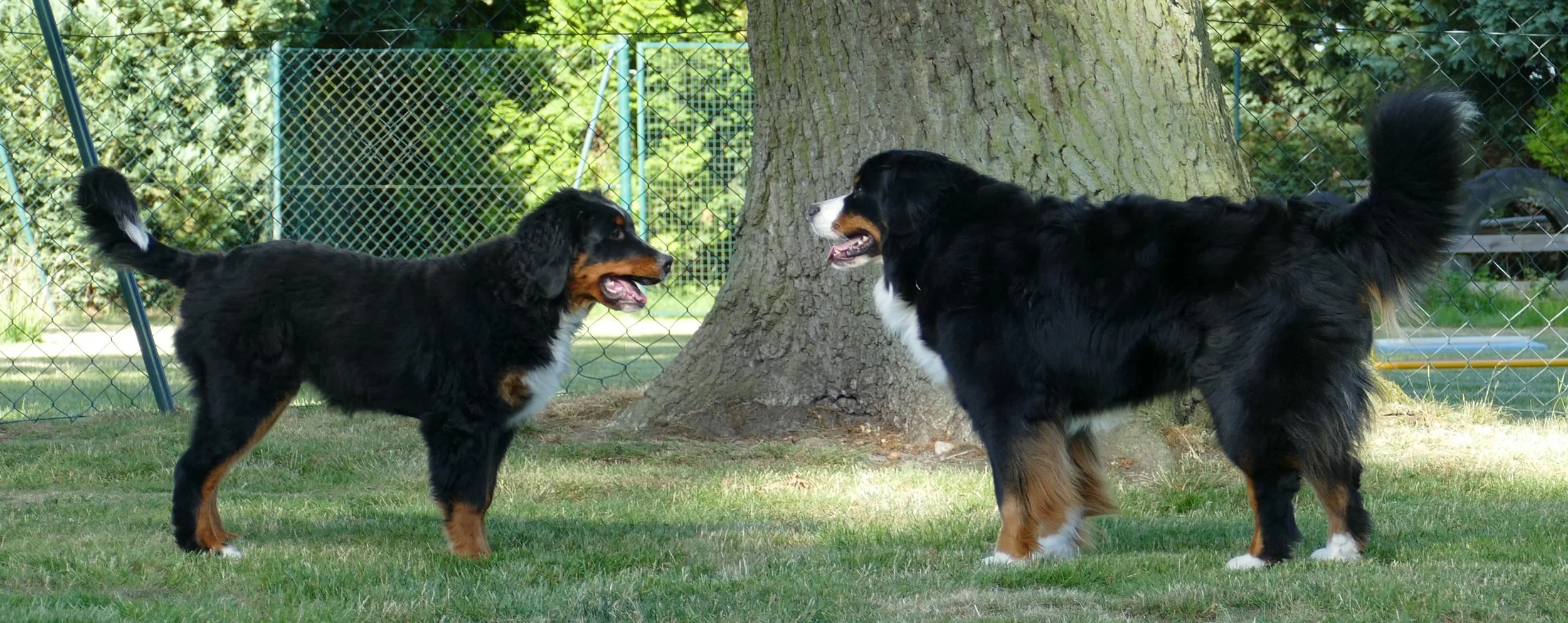 Alani und Mila