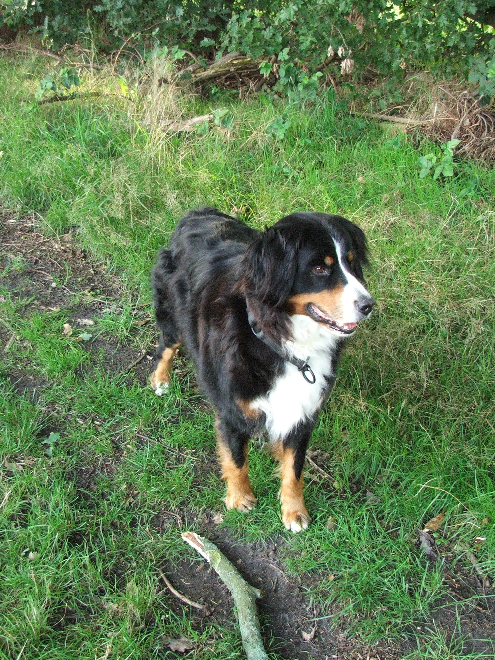 Tyla2006_0825_164836.JPG