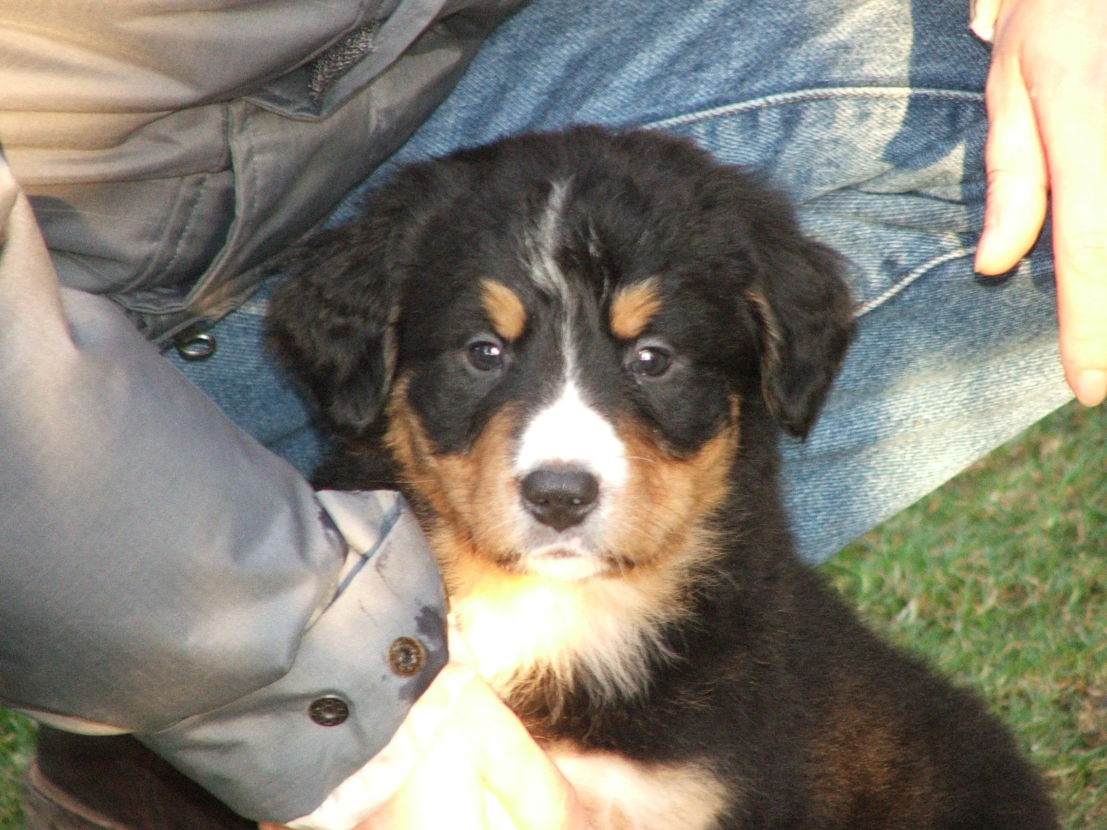 Tyla_Besuch22005_1203_150041.JPG