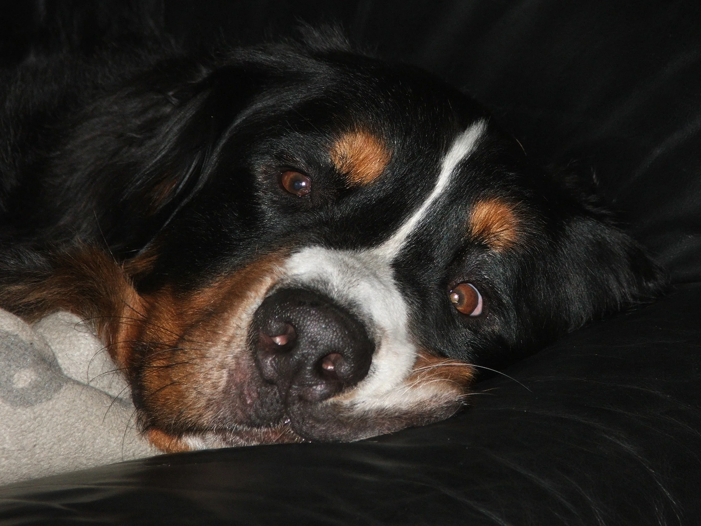 DSCF1046.JPG