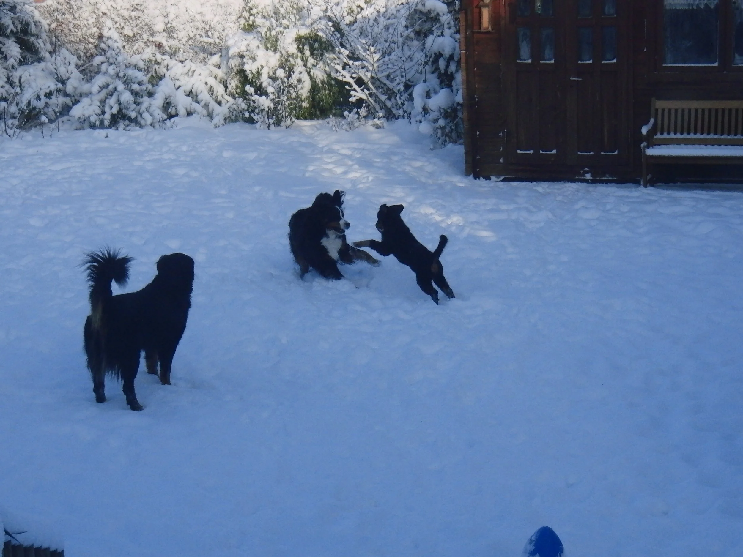 Kaum ist die Lütte da fällt Schnee ohne Ende und alle sind außer Rand und Band (18.12.2010)